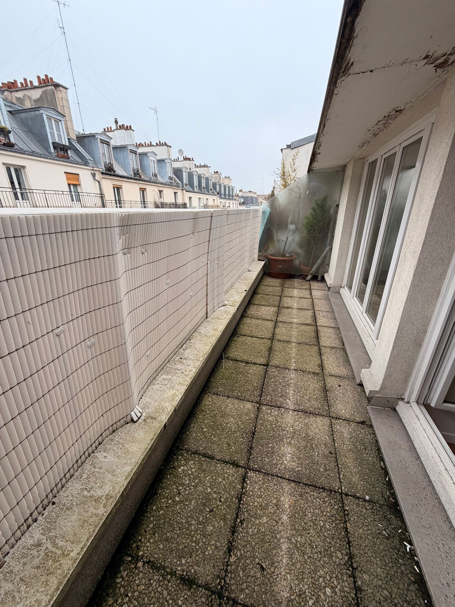 WhatsApp Image 2026-01-30 at 15.14.52 (3)-compressed.jpeg