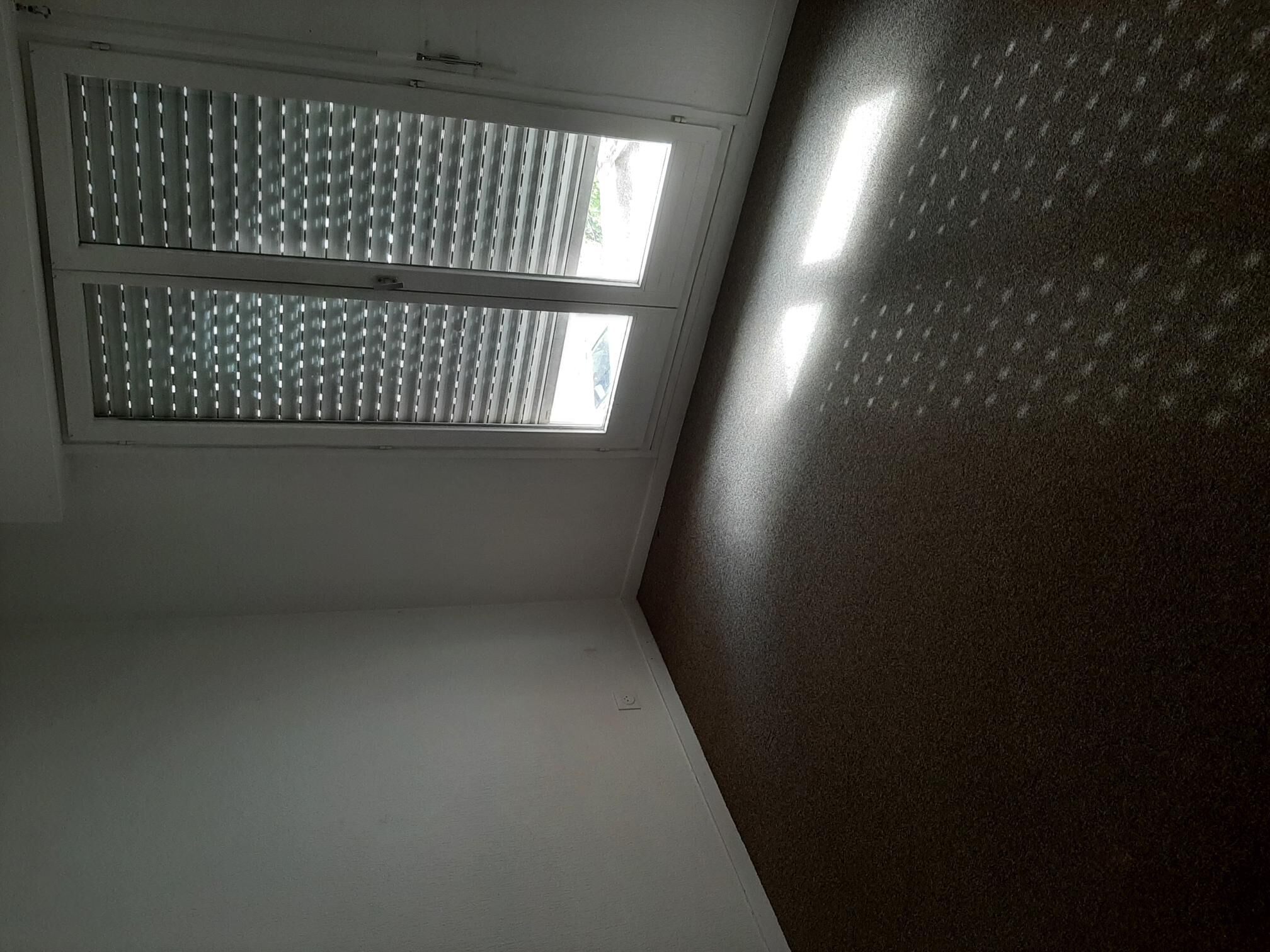 20260428_175154-compressed.jpg