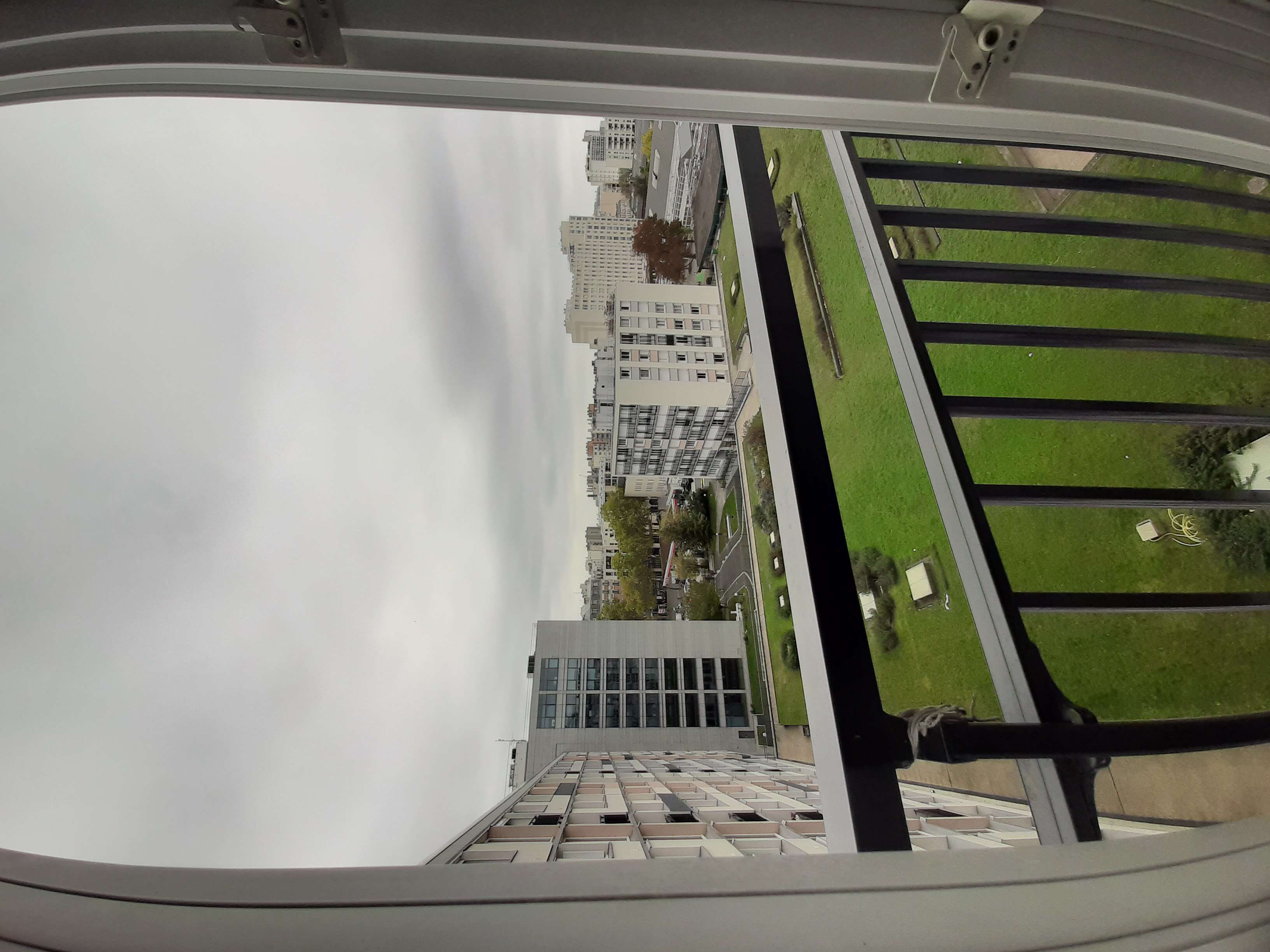 20221010_135640-compressed.jpg