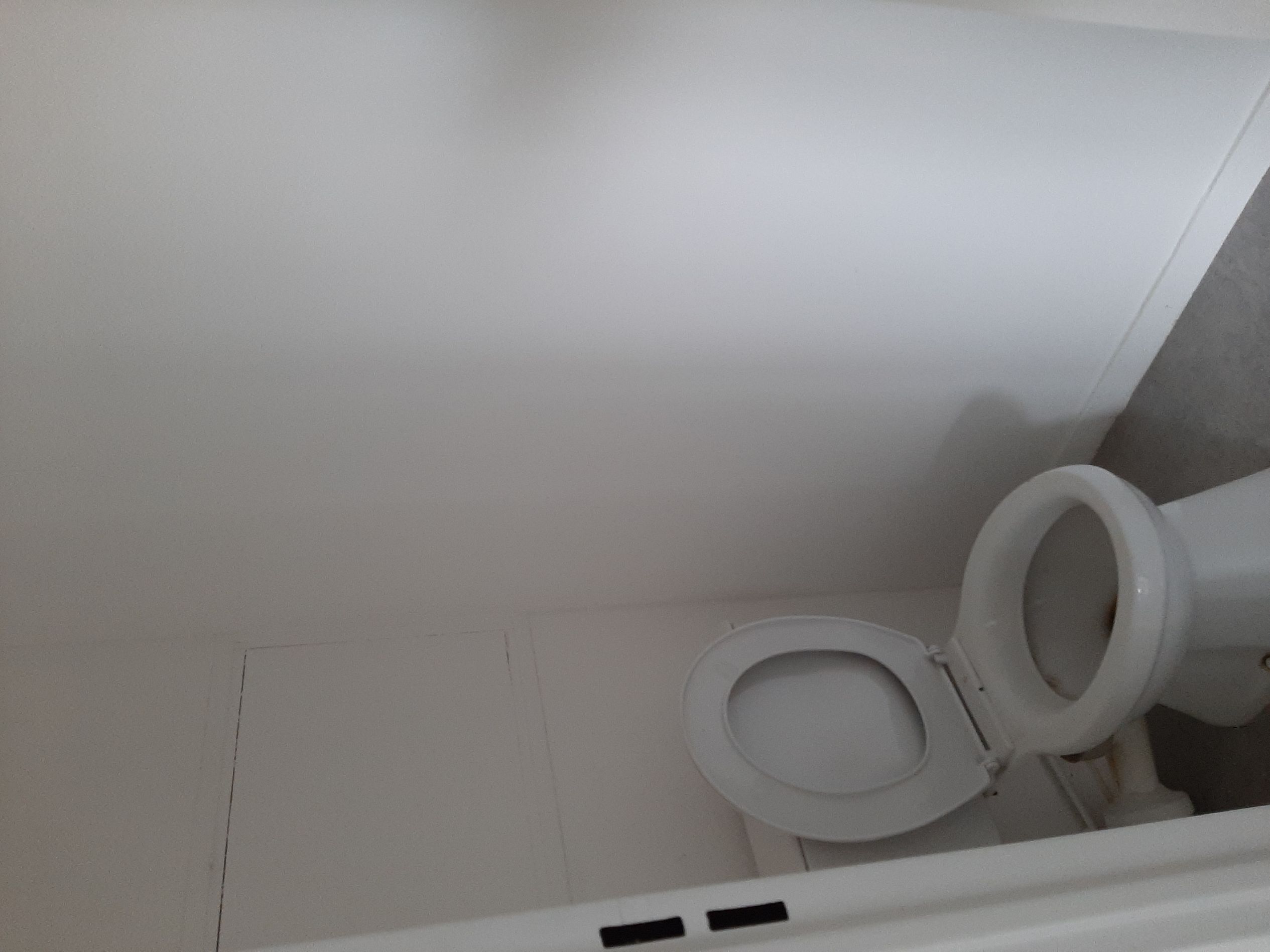 19-07-23_01-00-32_WC-compressed.jpg
