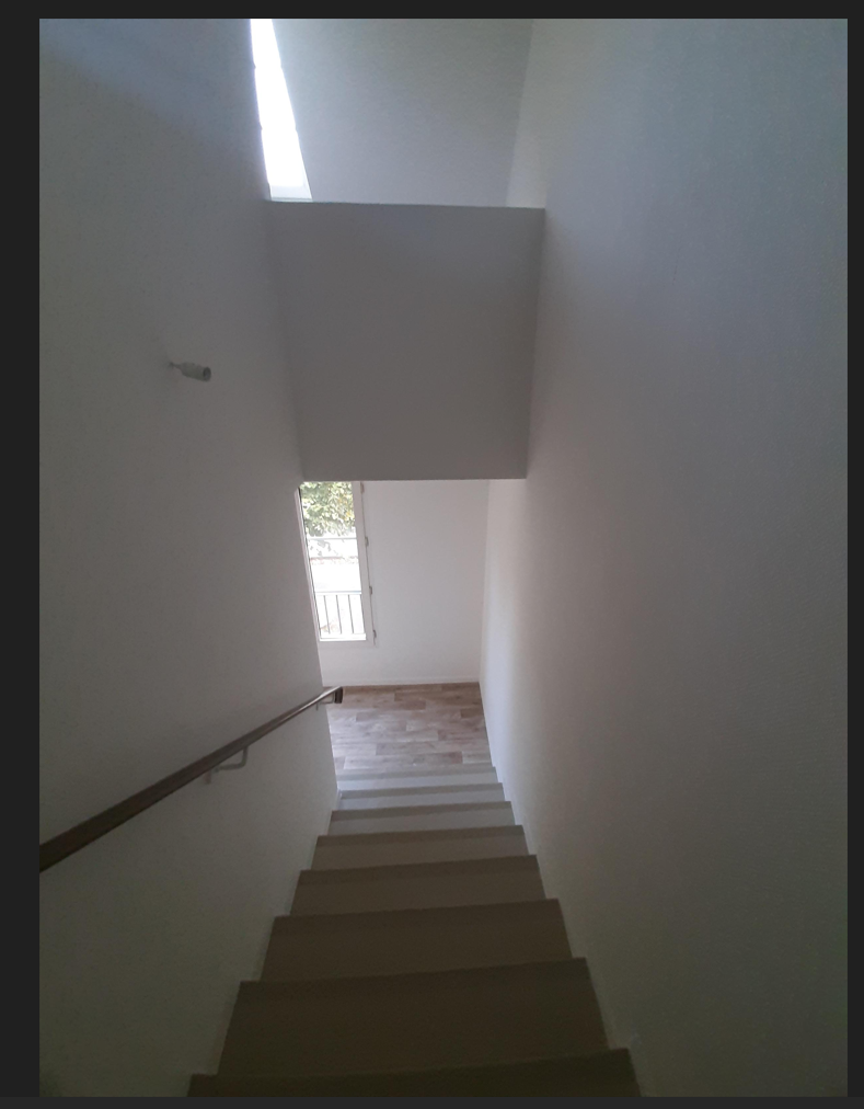 photo 7-compressed.png