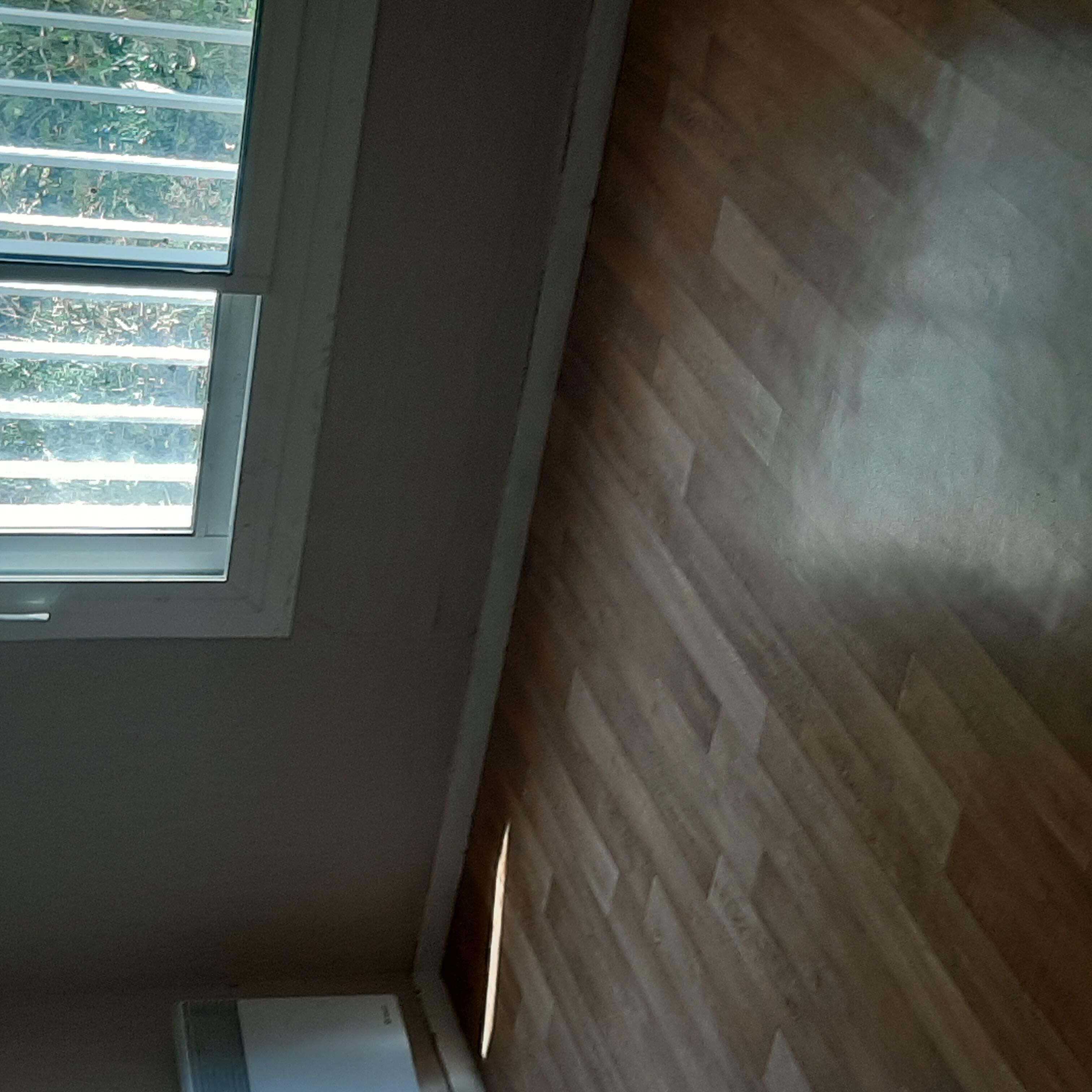 20240822_114620-cmp.jpg
