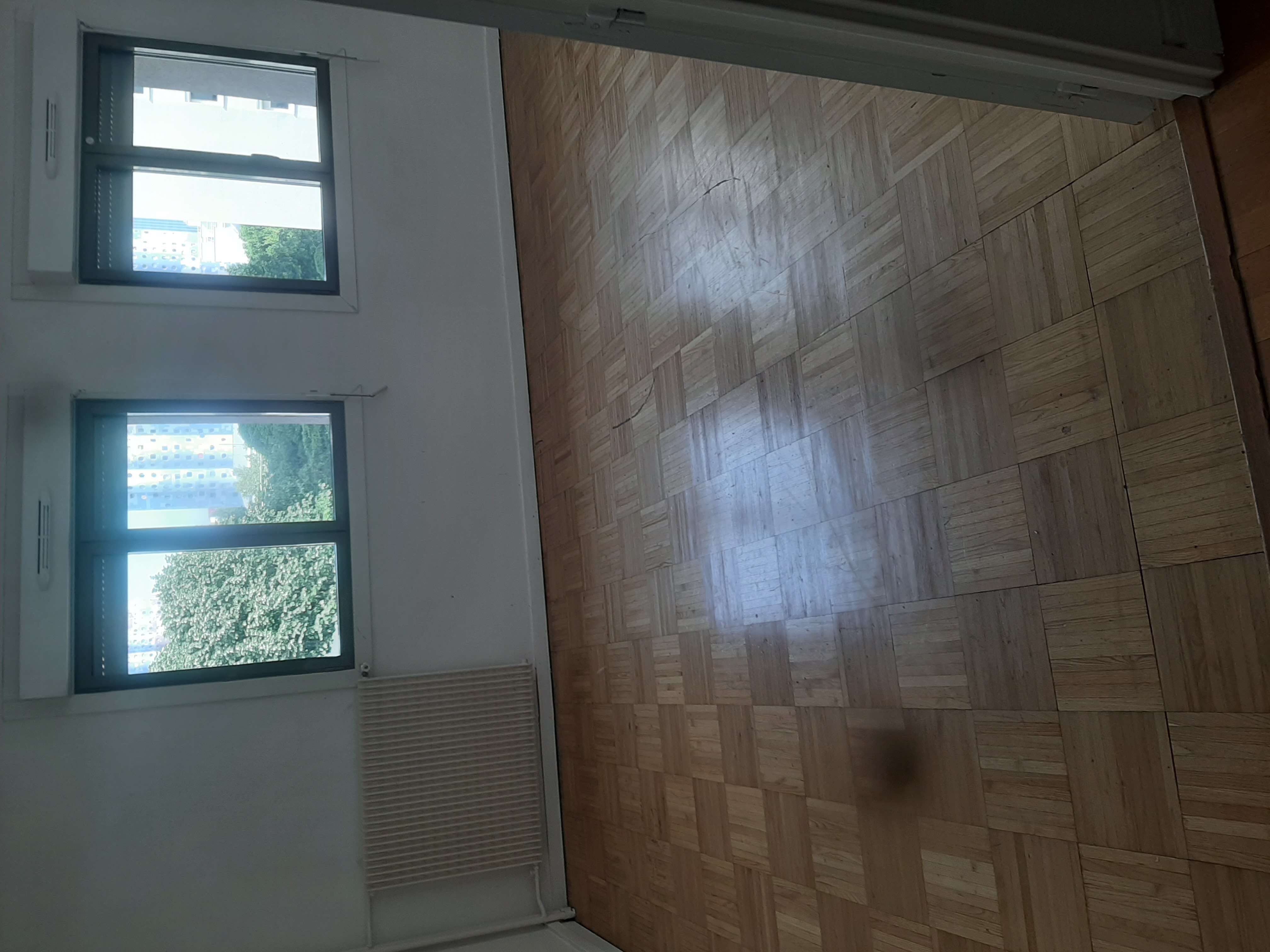20250513_103512.jpg