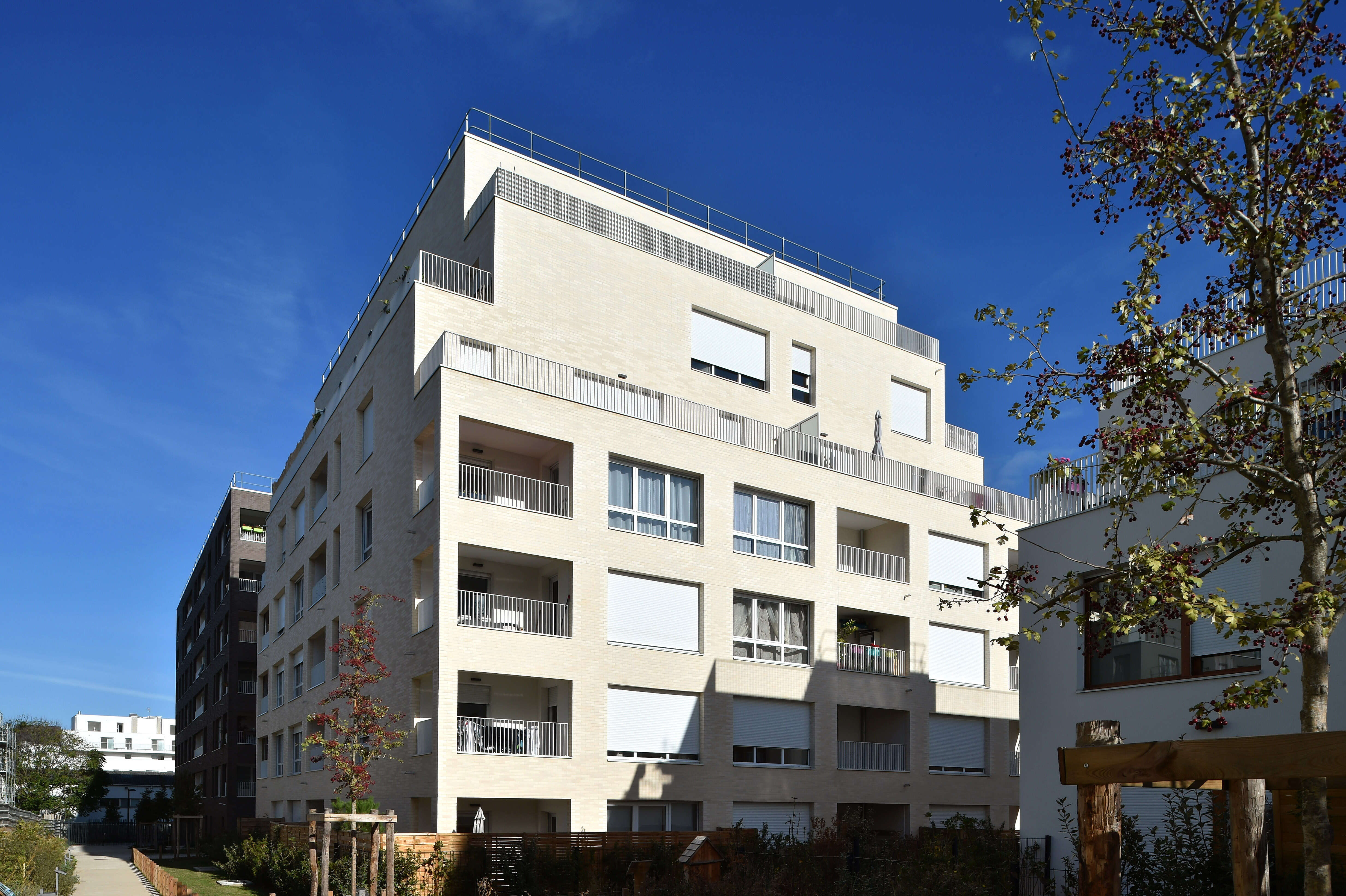 FA051118-0373-compressed.jpg