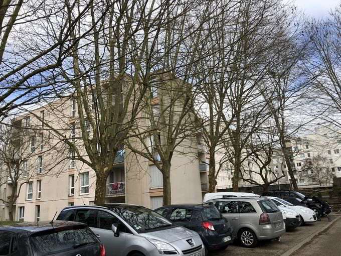 compressed-2438-FOEXT-NOISIEL GENETS-1542.jpg