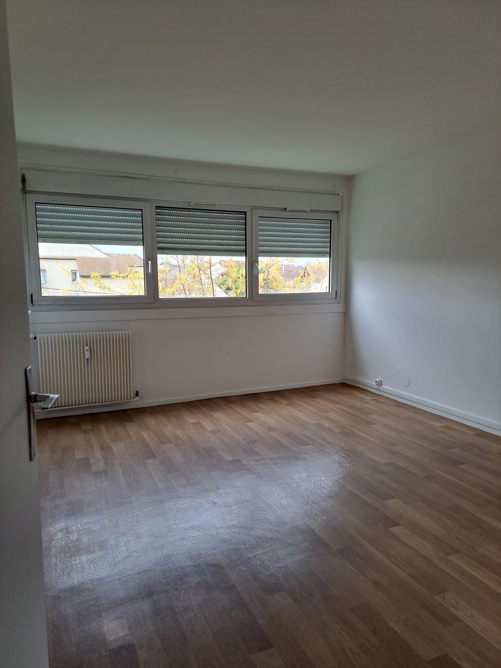 compressed-shared image (5).jpg