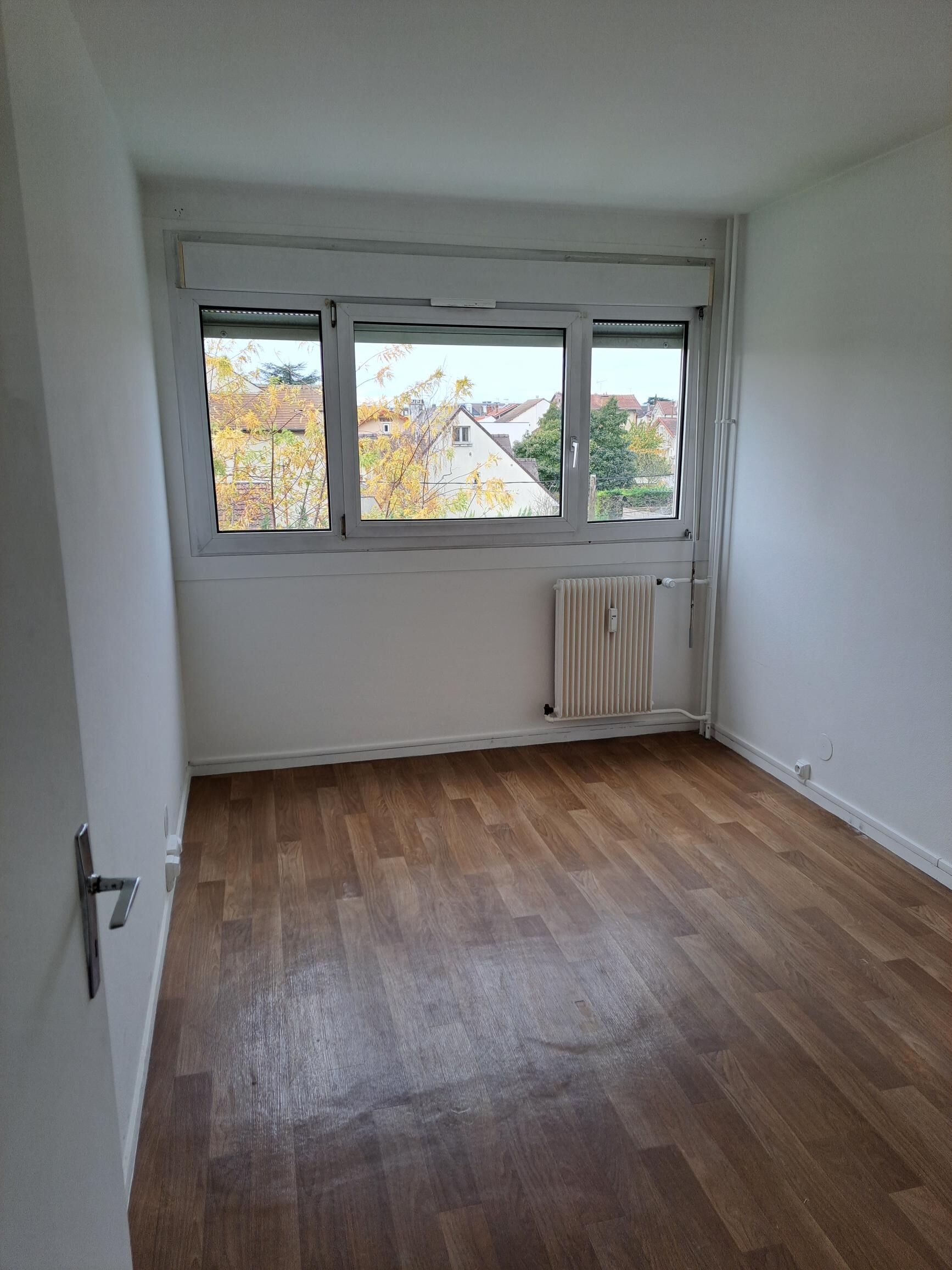 compressed-shared image (6).jpg