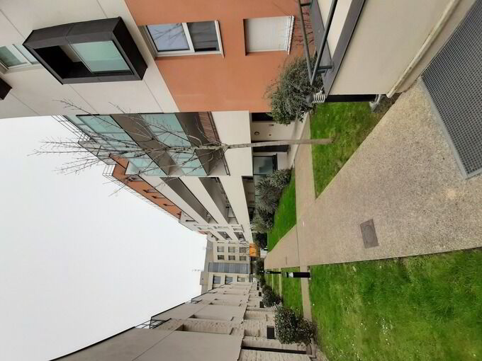 2559-FOEXT-2020.02._PHOTO4.jpg