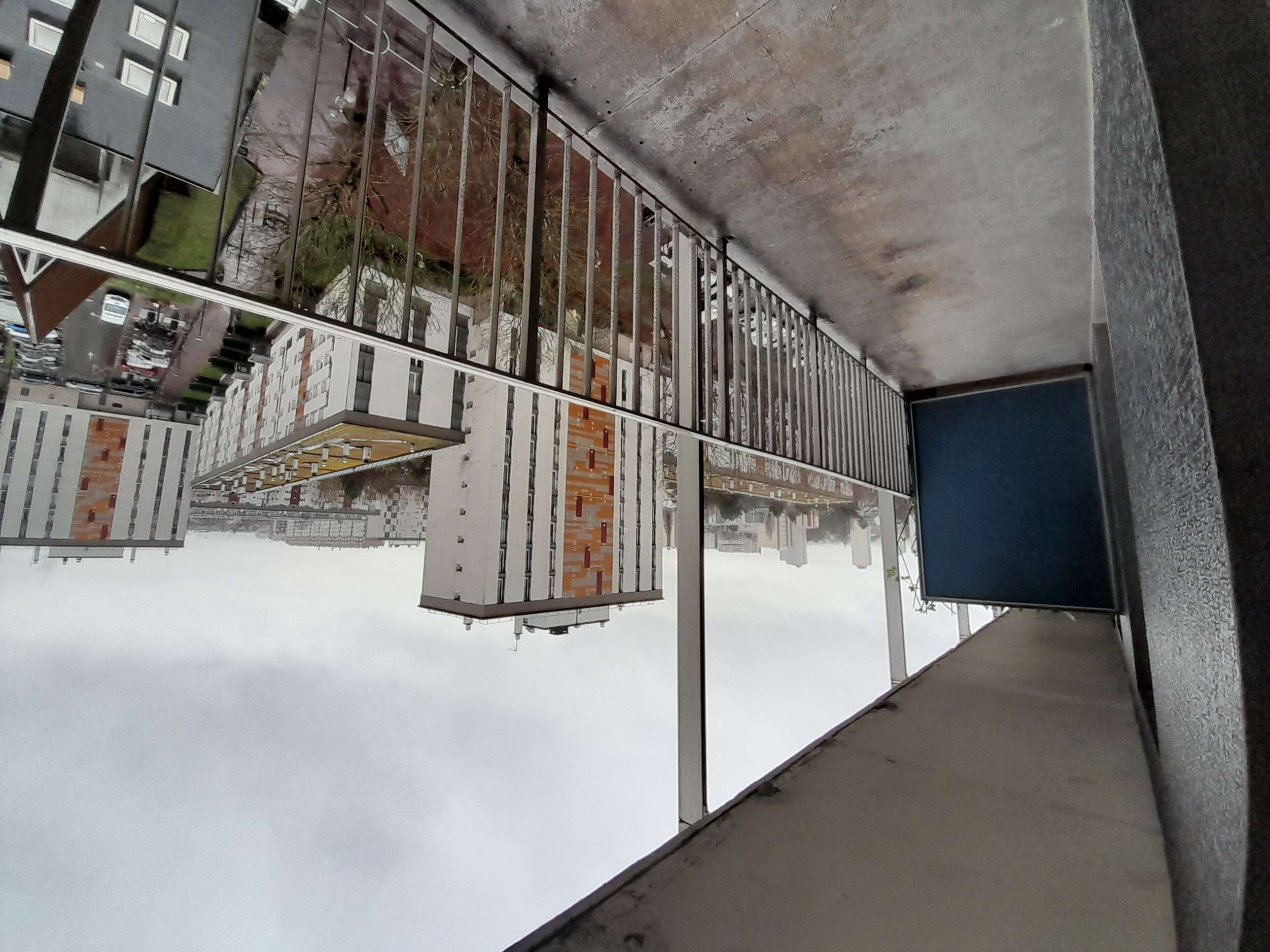 20260127_105600-compressed.jpg