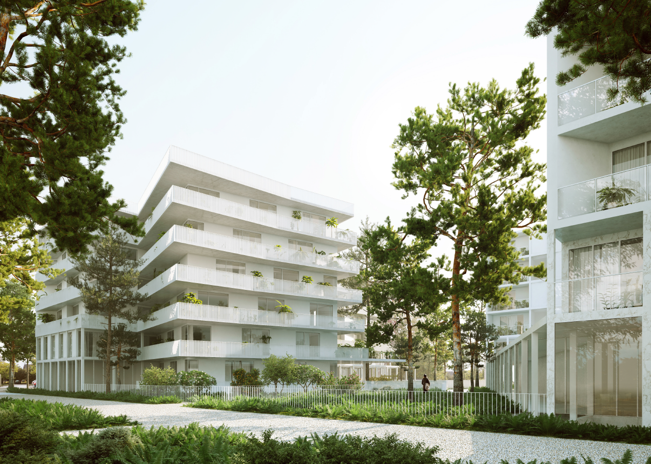 compressed-gif sur yvette.png