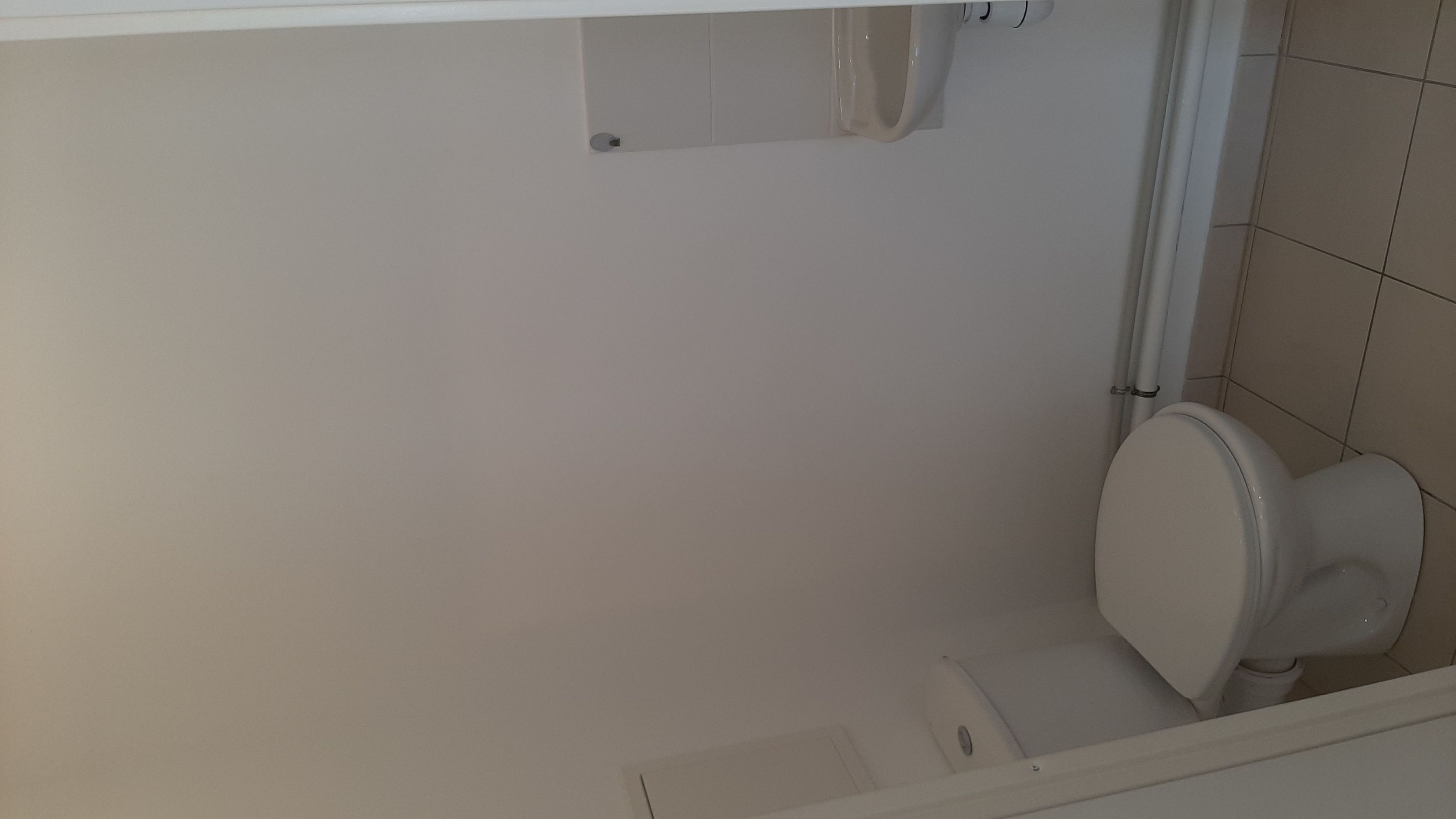 06-06-23_15-40-31_Wc-compressed.jpg
