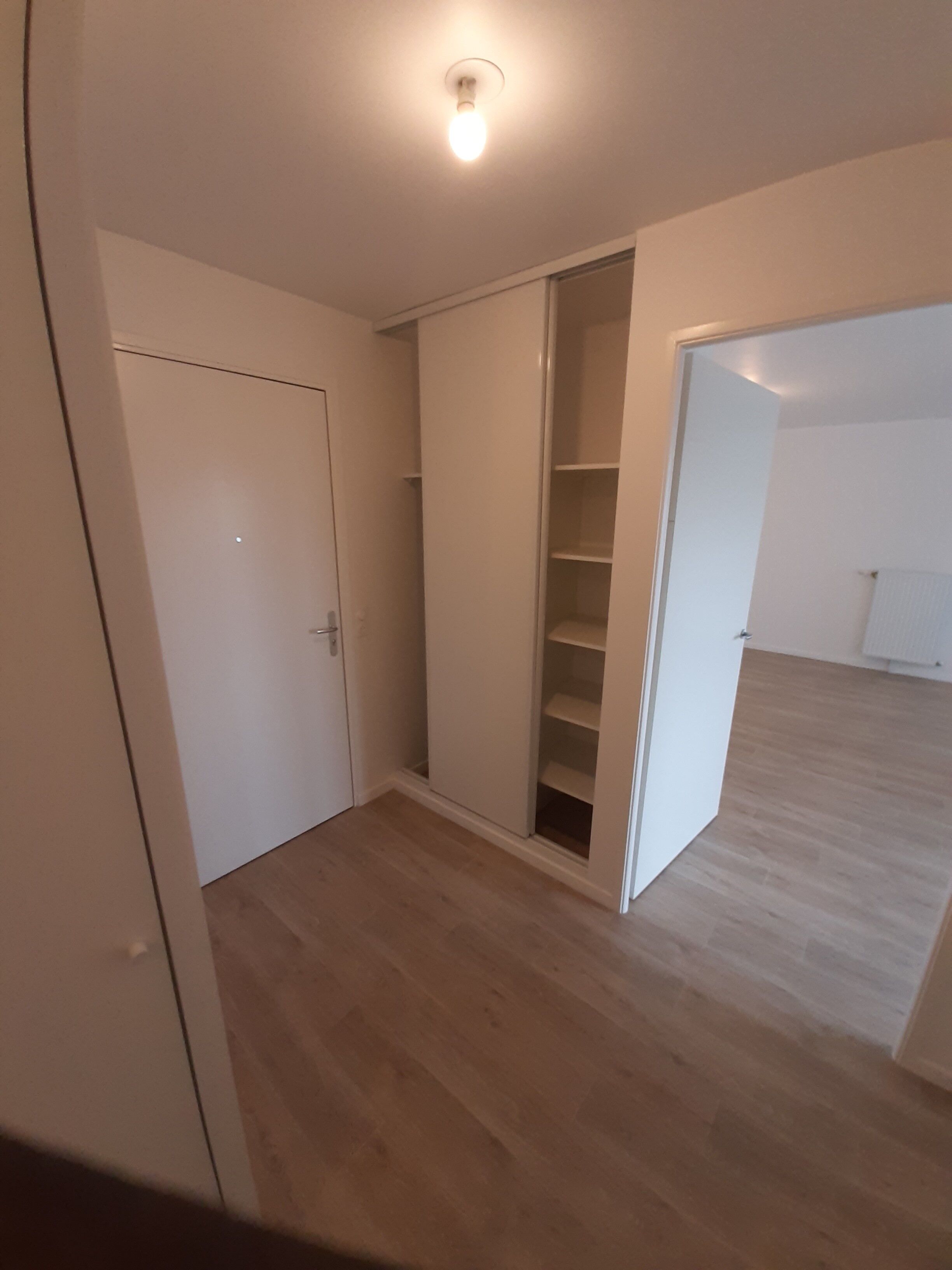 Photo 1-compressed.jpg