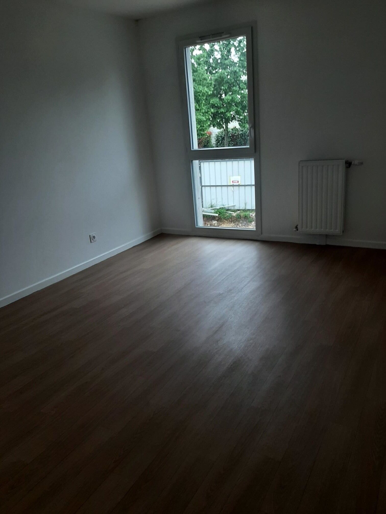 photo 6-compressed.jpg