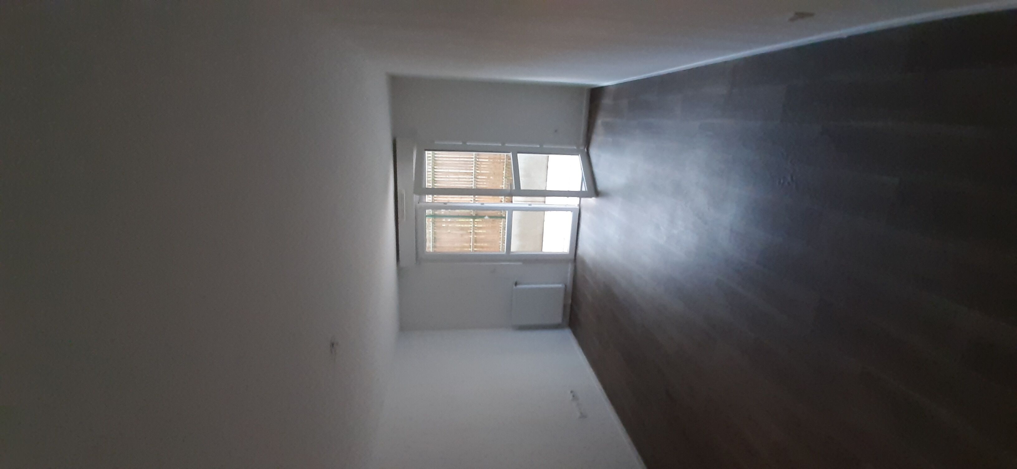 compressed-6 348037.jpg