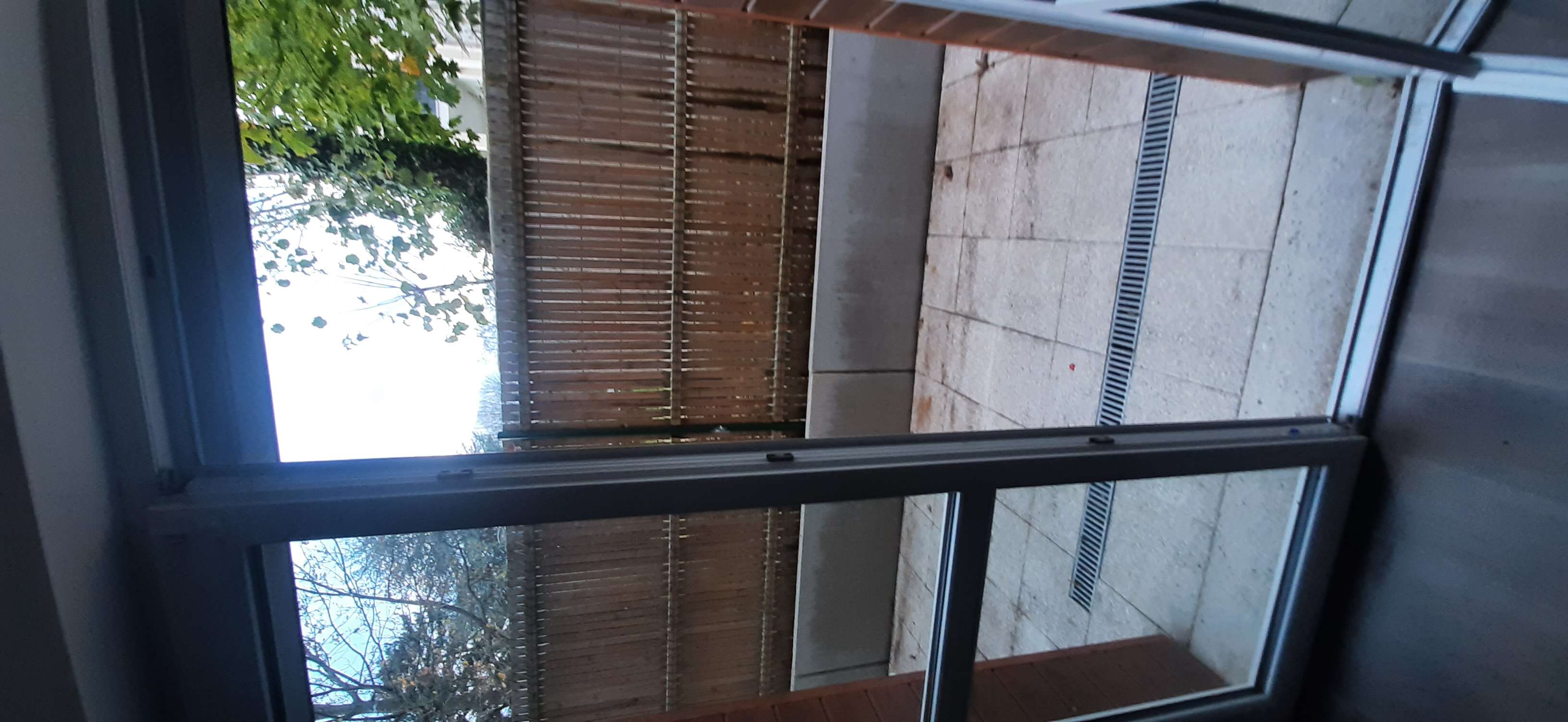 compressed-7 348037.jpg