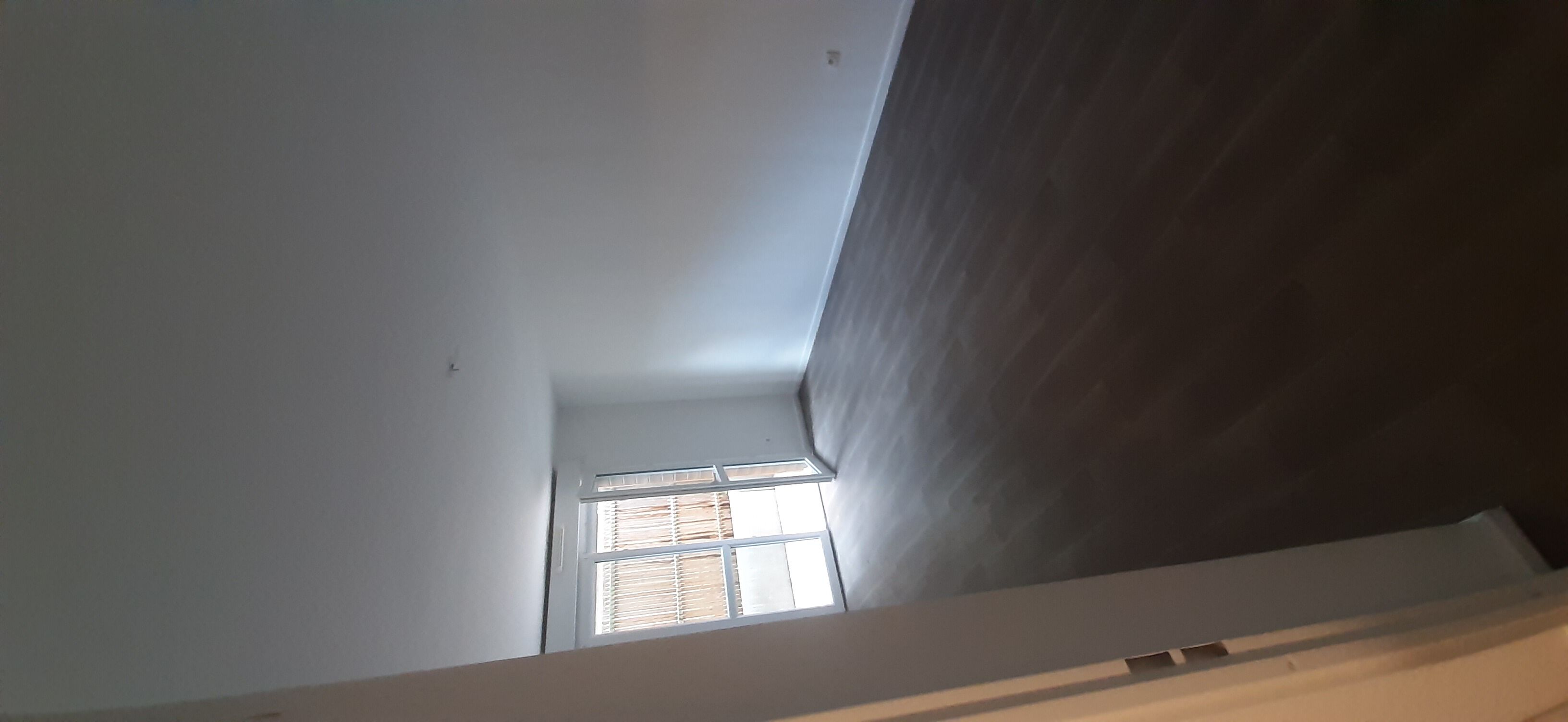 compressed-9 348037.jpg