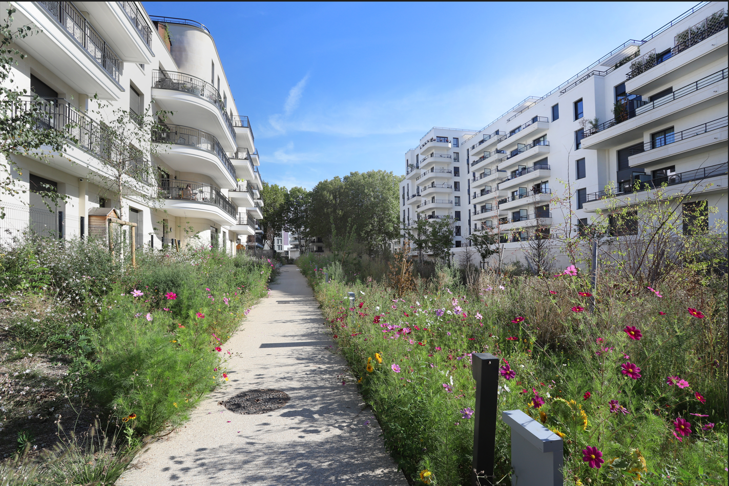 COLOMBES