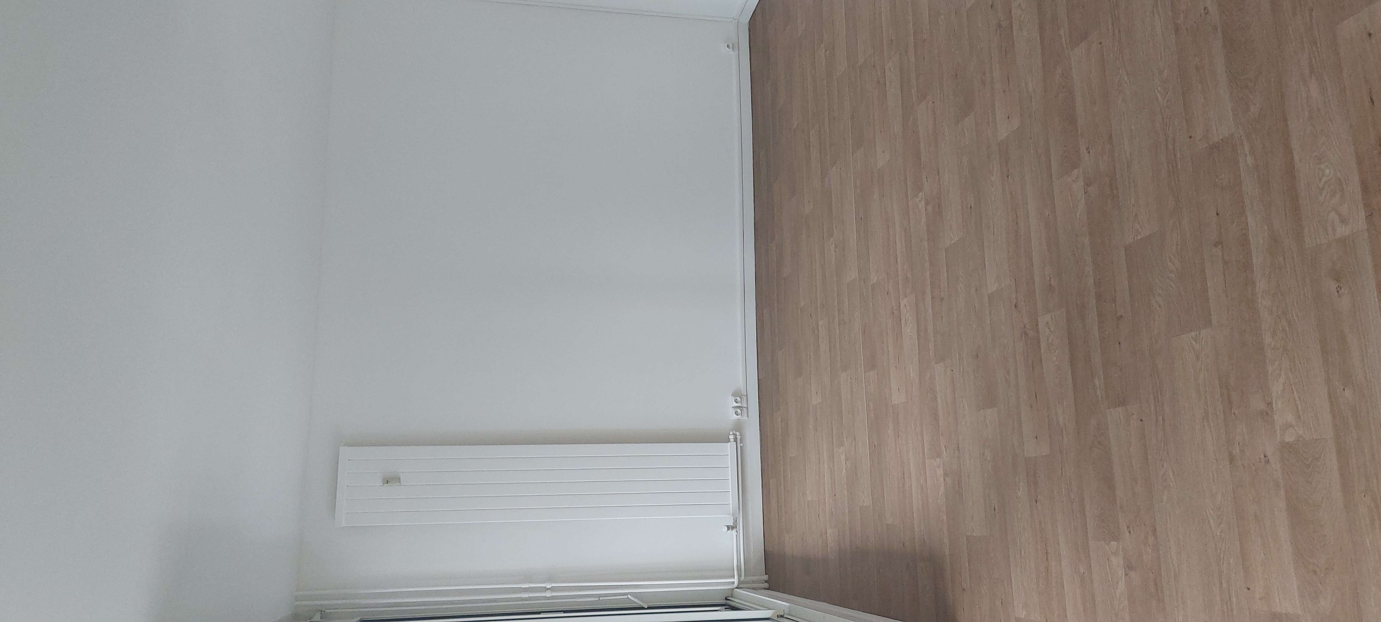20241127_142937-cmp.jpg