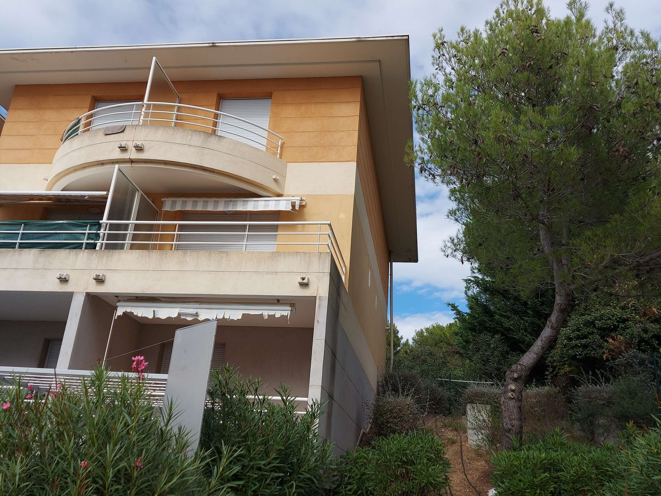 BIOT