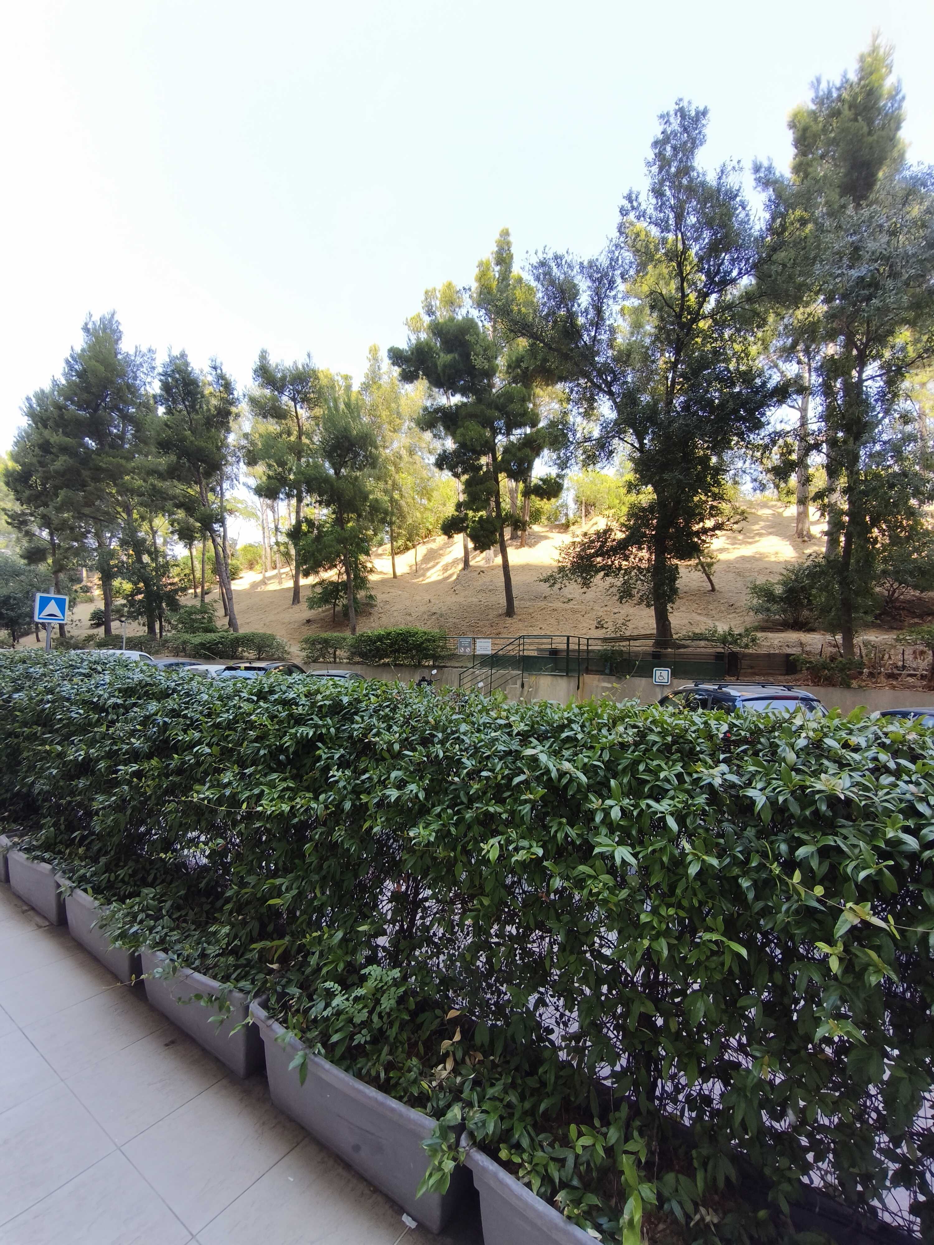 1787650778943-compressed.jpg