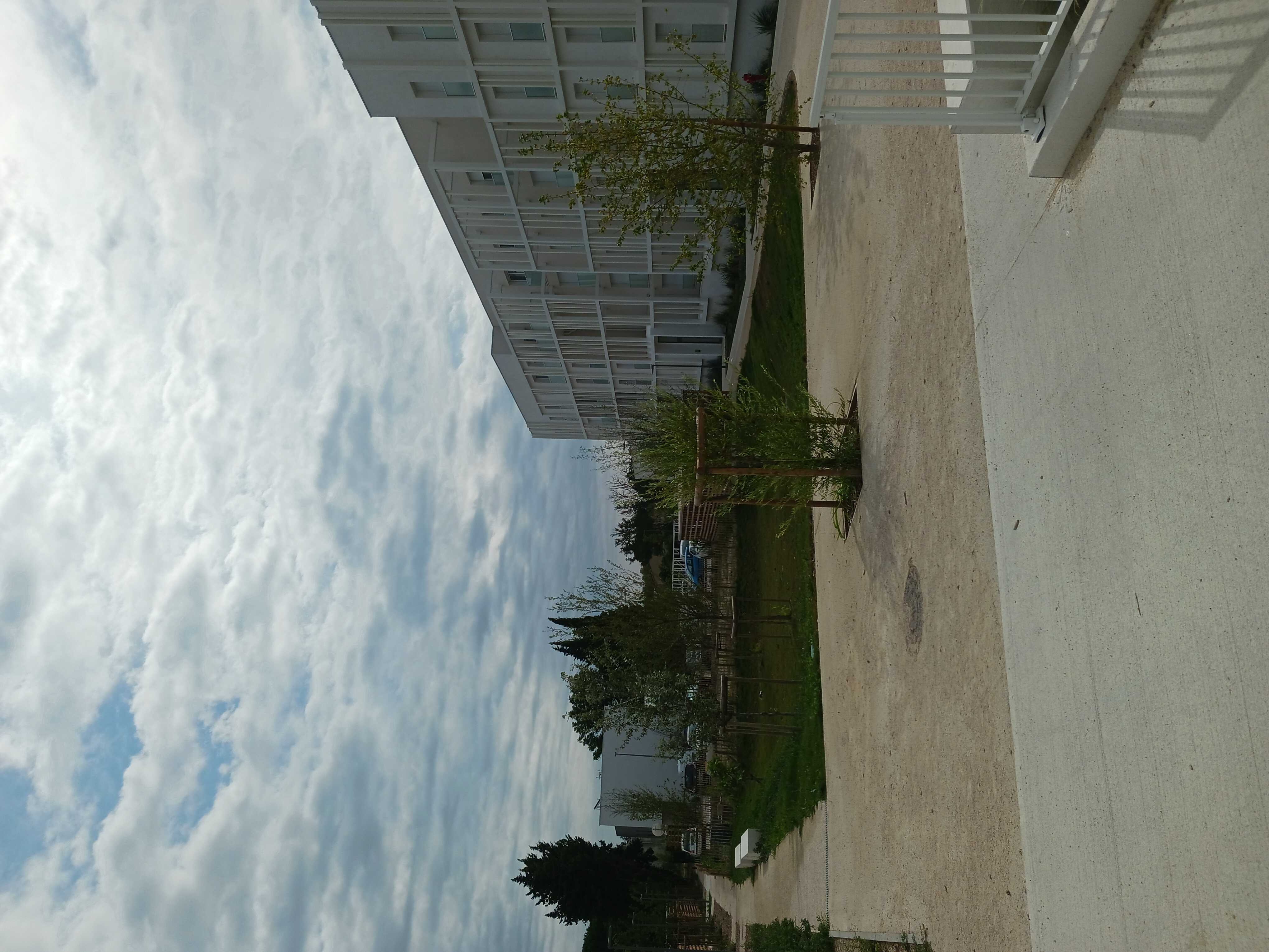 AVIGNON