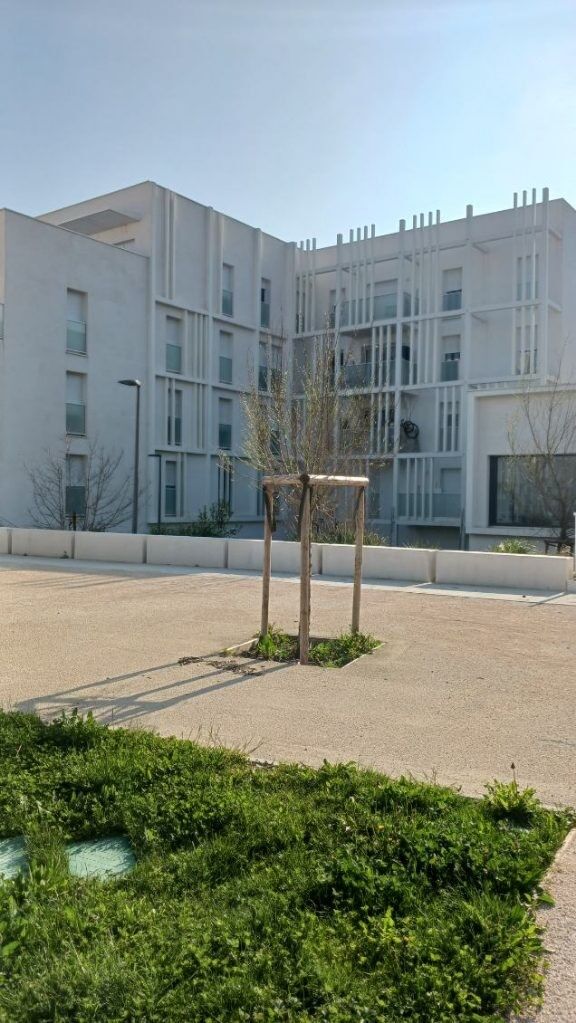 AVIGNON