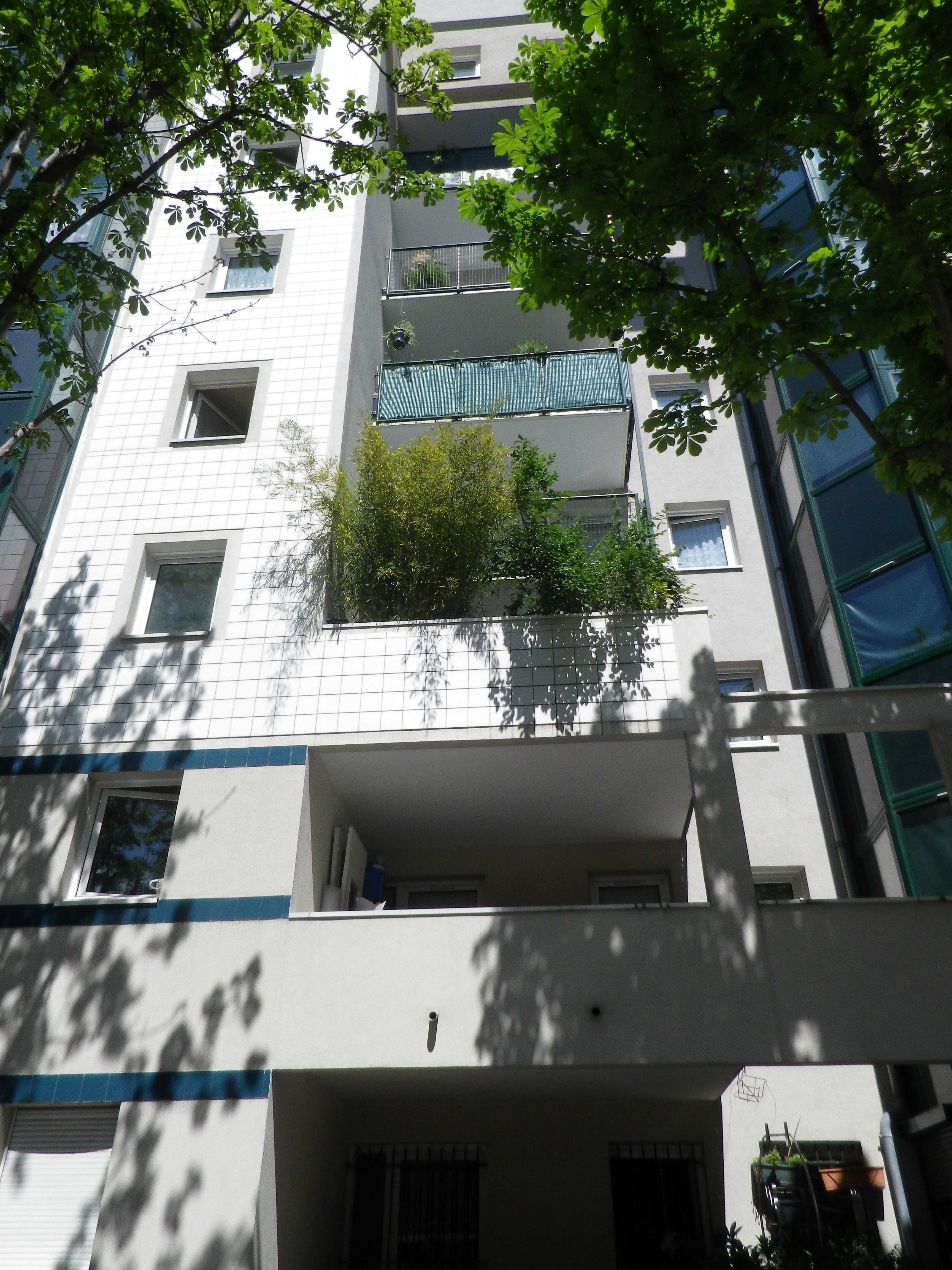 IMGP4038.JPG
