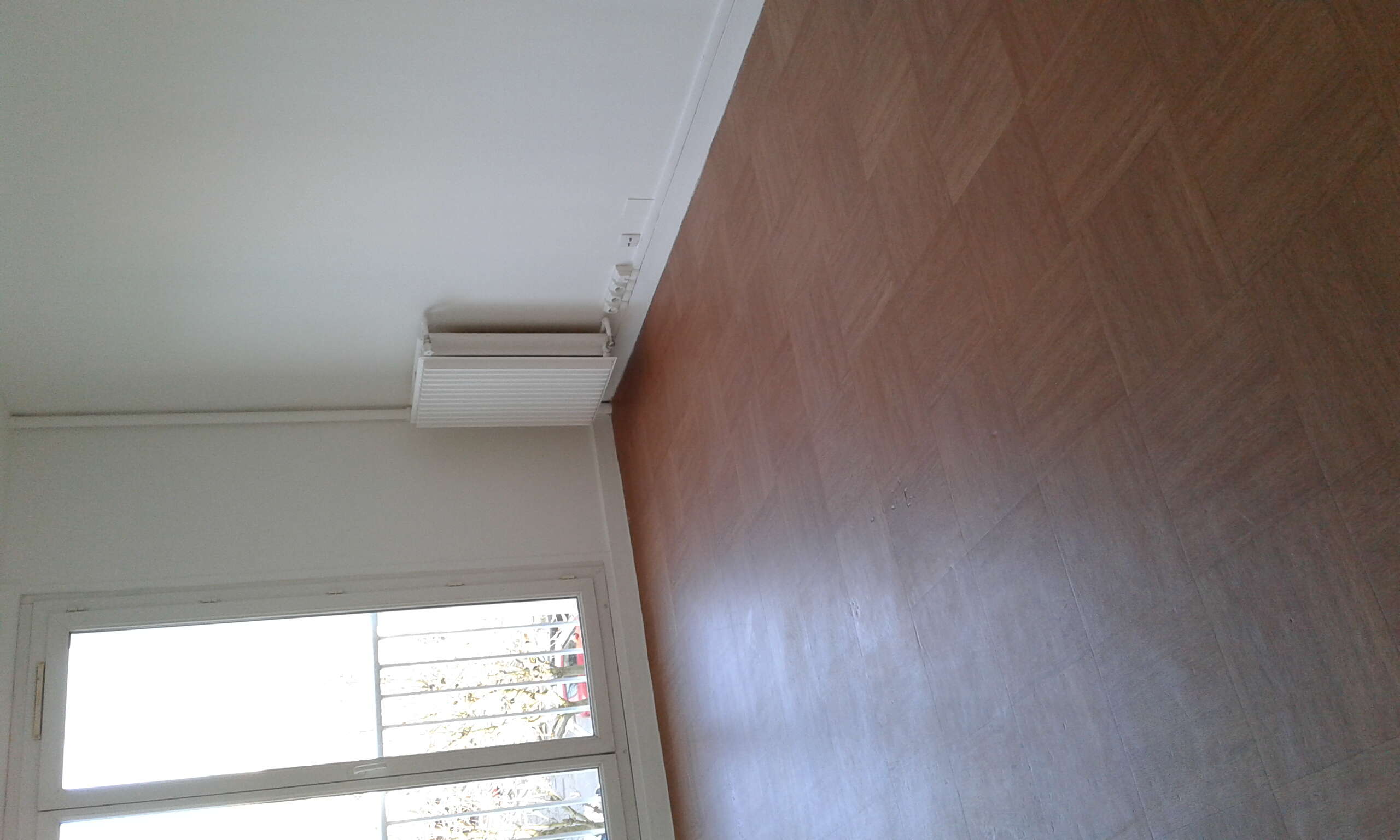 compressed-20190319_091019.jpg