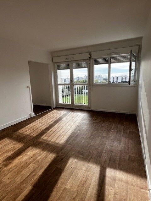 compressed-SALON  4053577.jpg