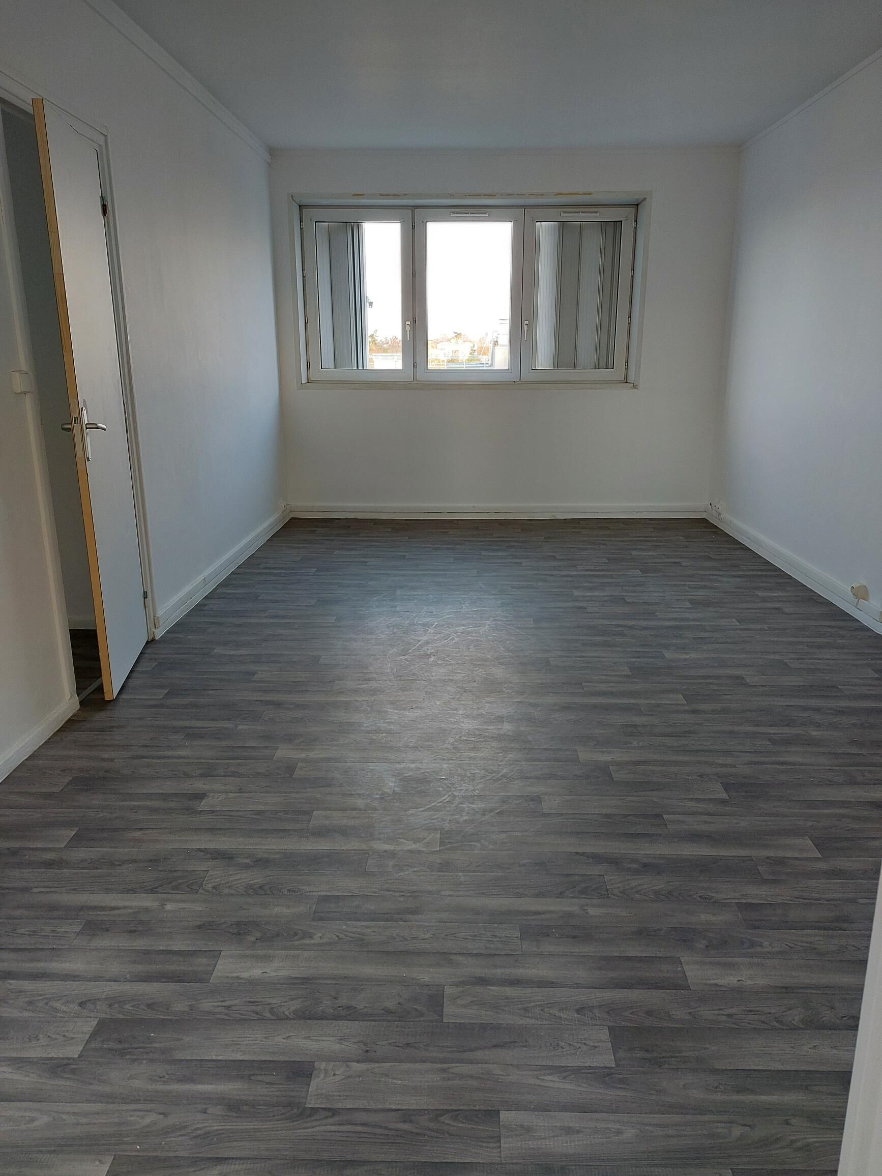 compressed-shared image (4).jpg