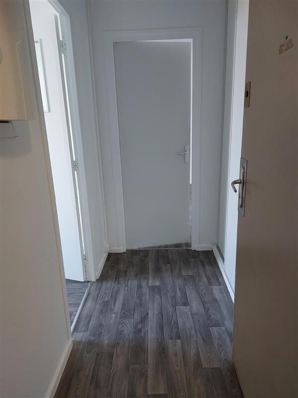 compressed-shared image.jpg