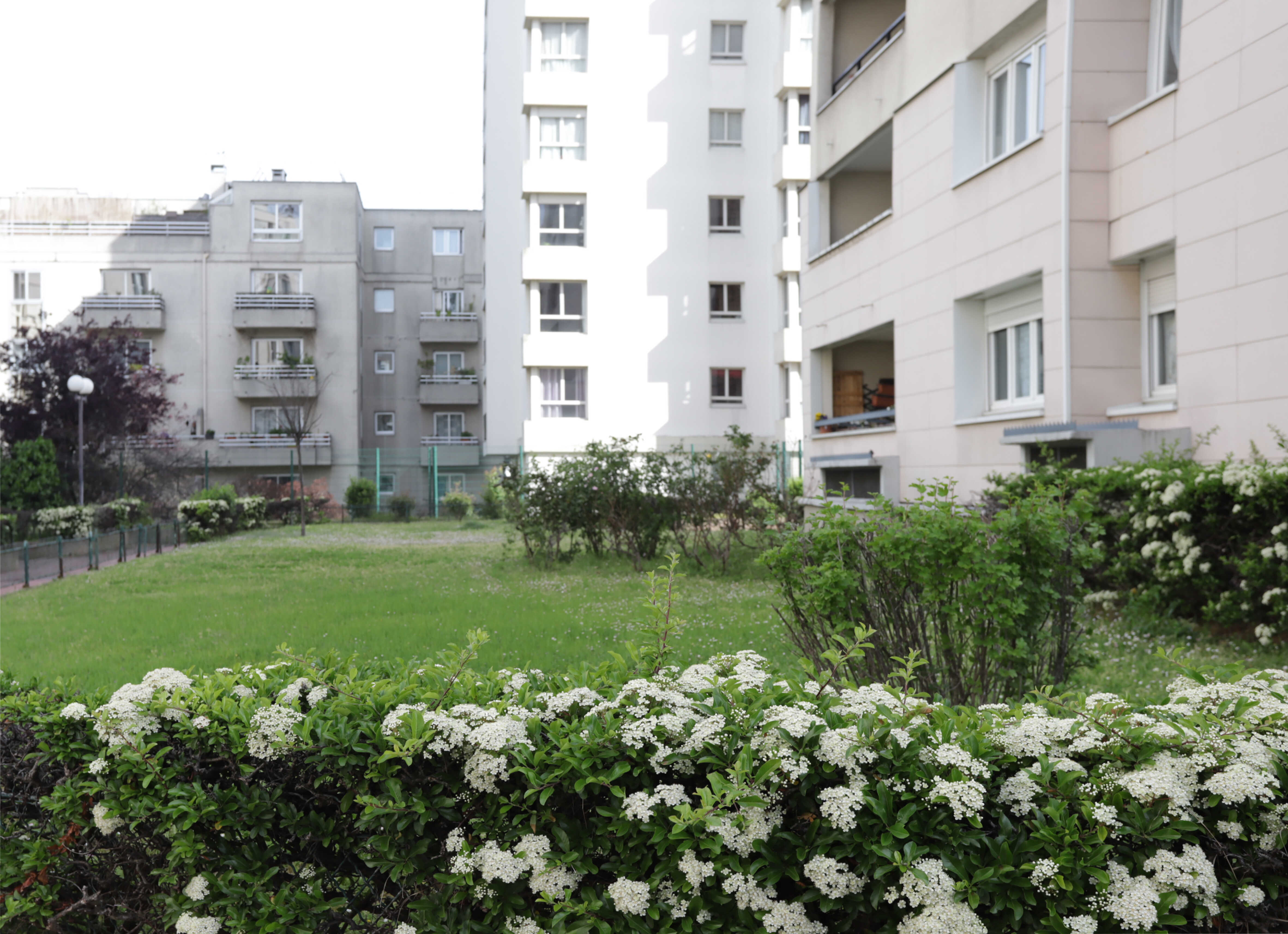 compressed-4251_PARIS 20_4.jpg