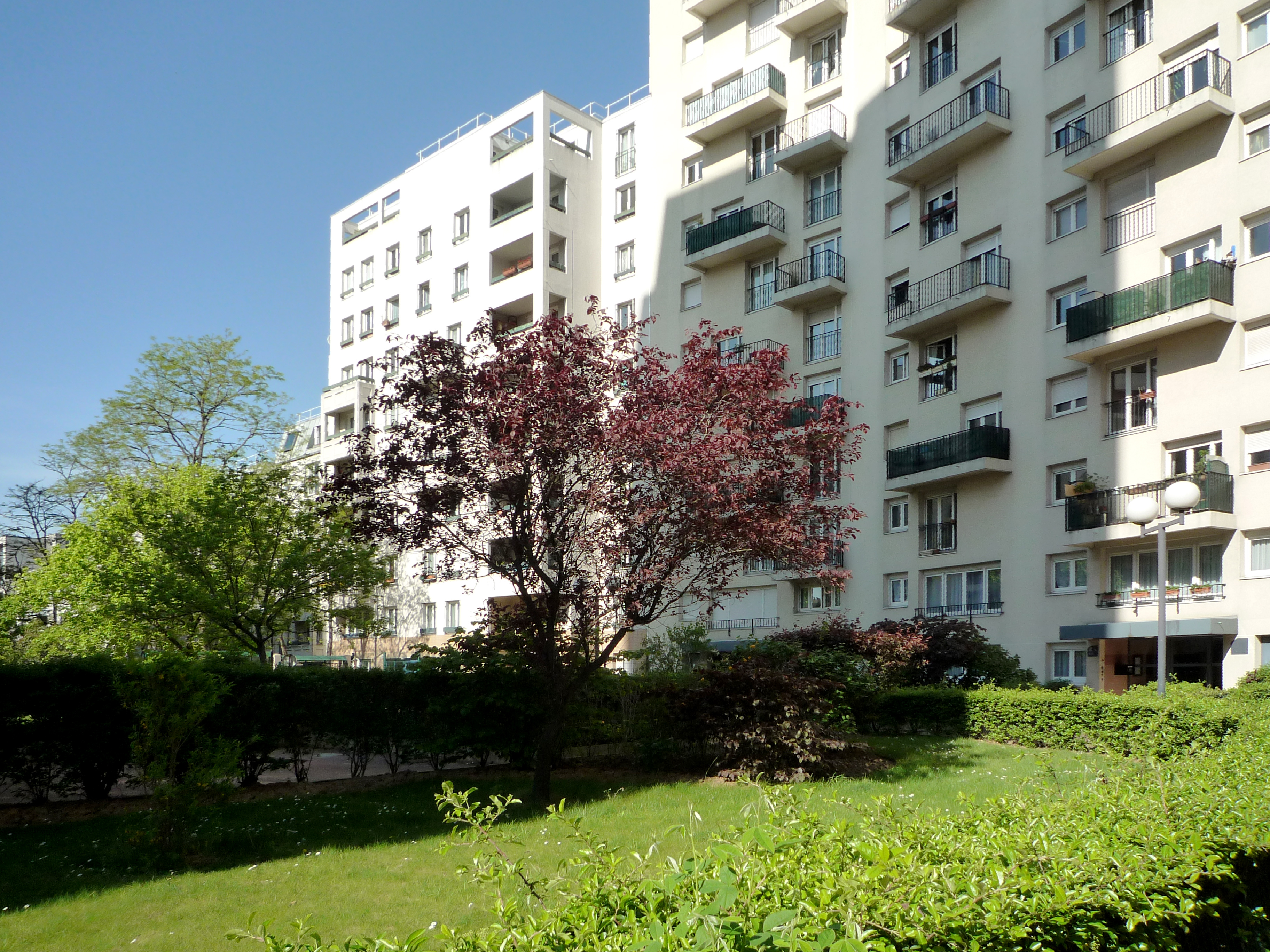 P1020184-ok.jpg