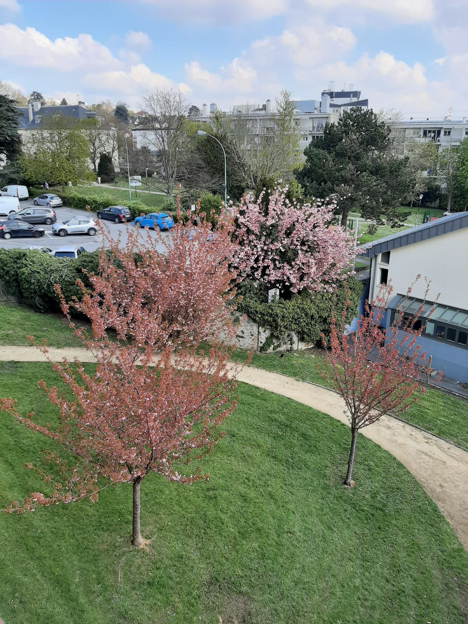 PALAISEAU