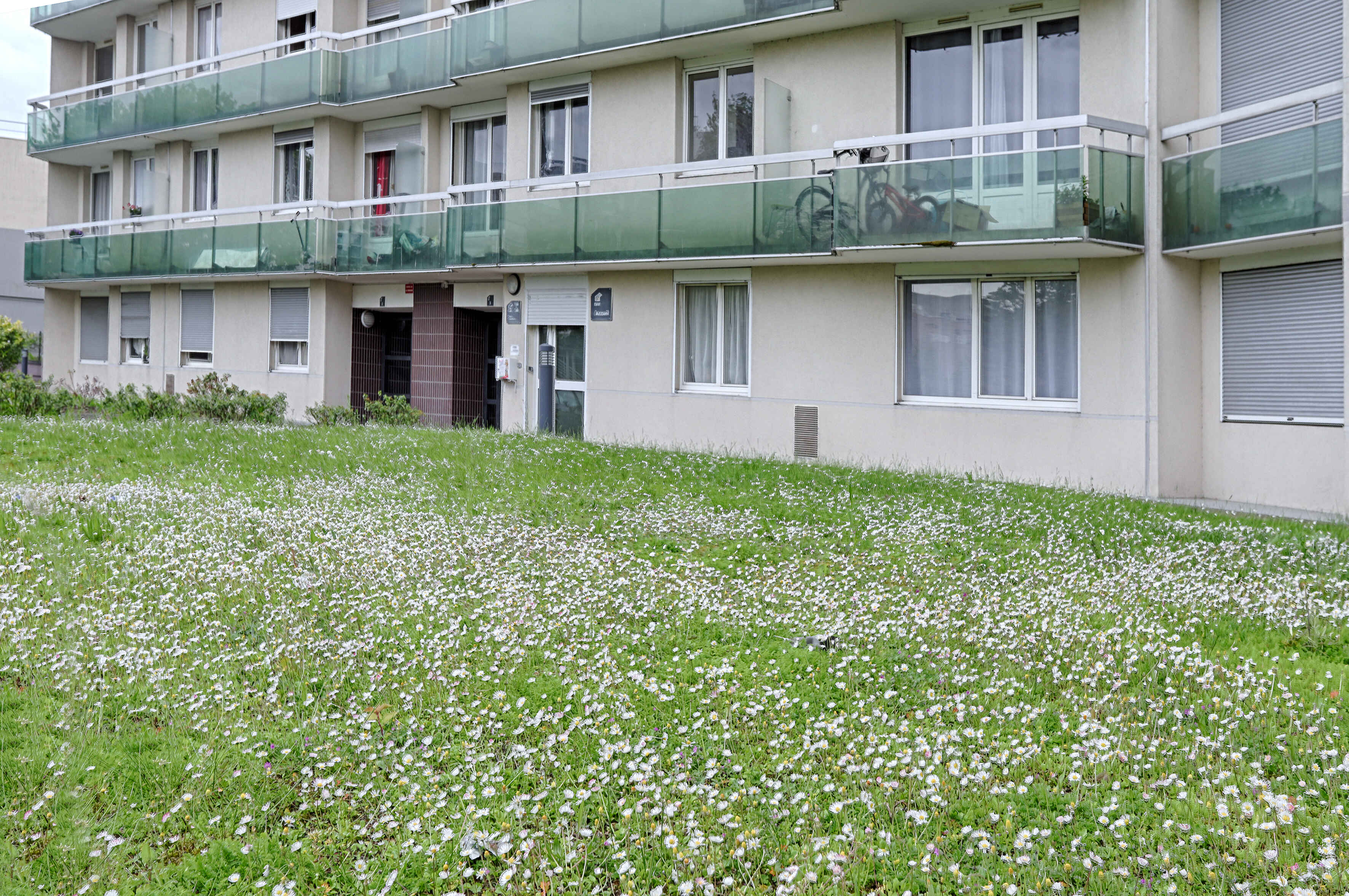 4384_NANTERRE_3.jpg
