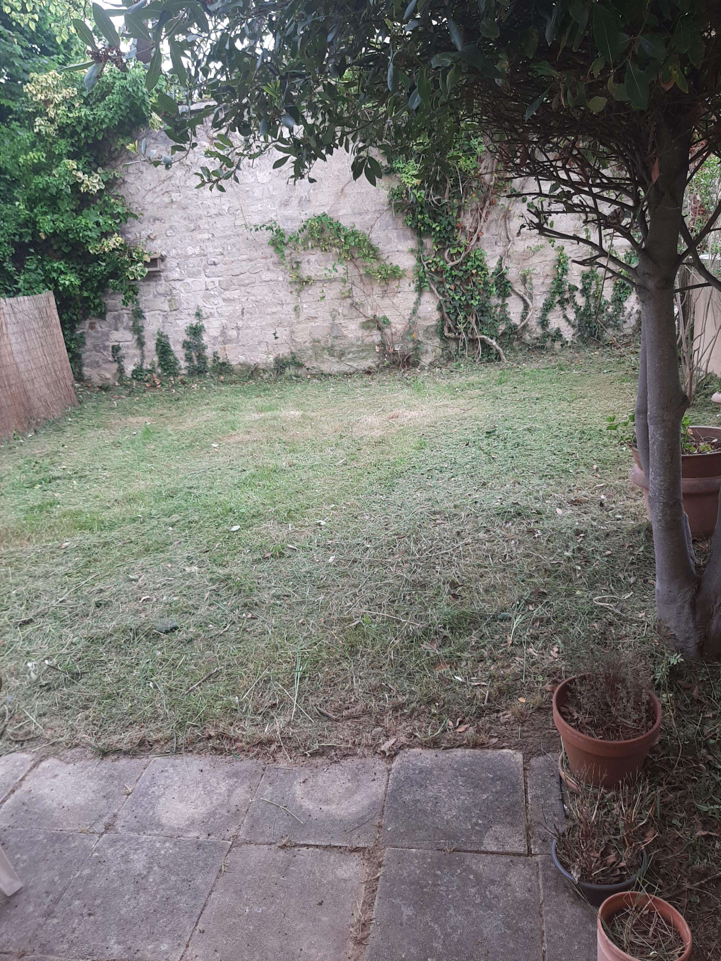 jardin lot 1985 avec tonte (3).jpg