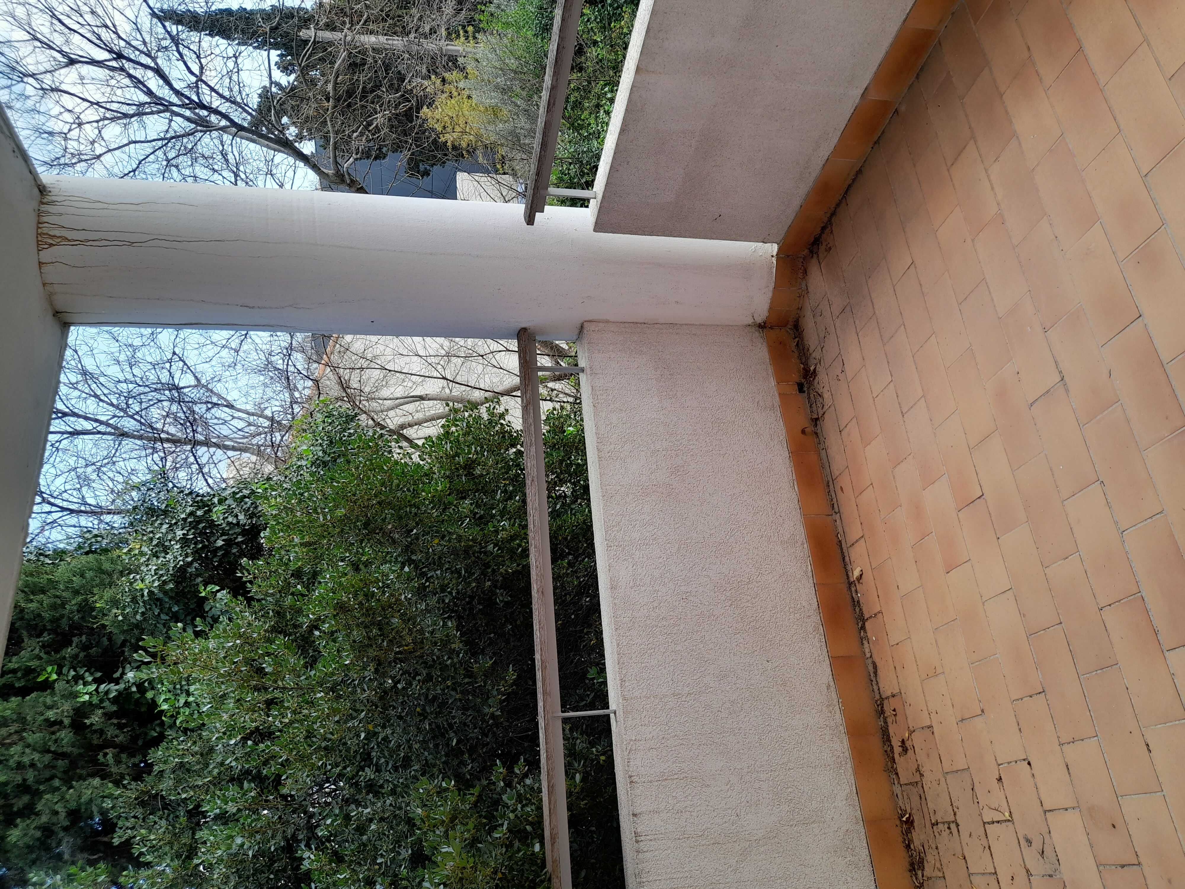 20230330_164247-compressed.jpg