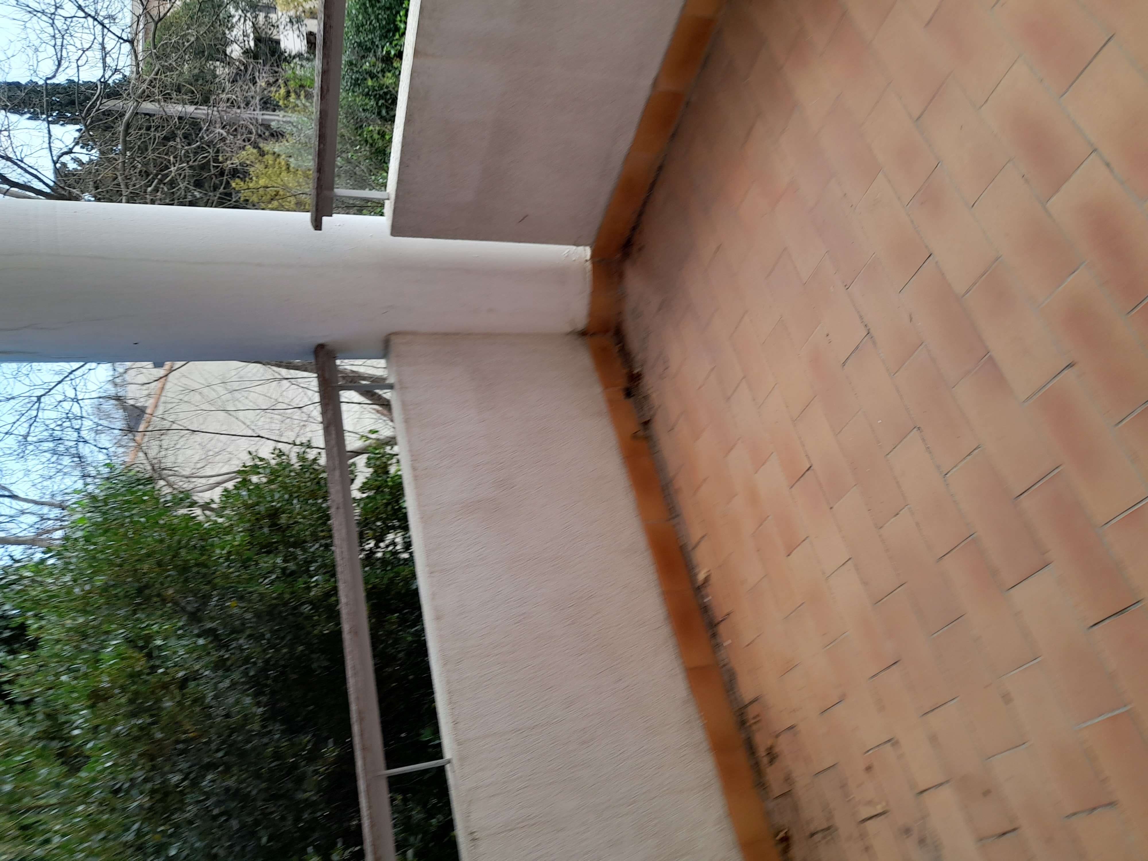 20230330_164300-compressed.jpg