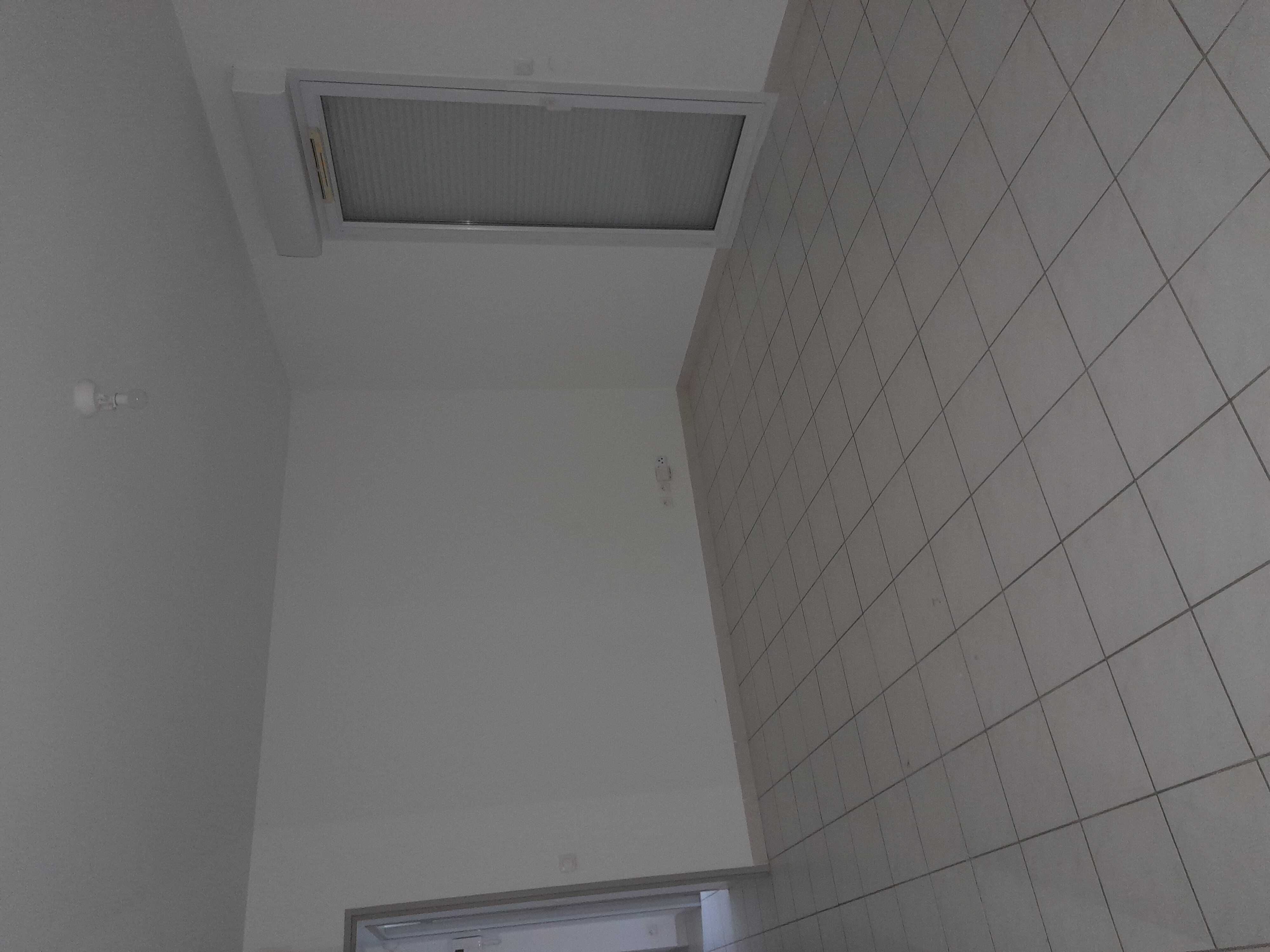 20230330_164455-compressed.jpg