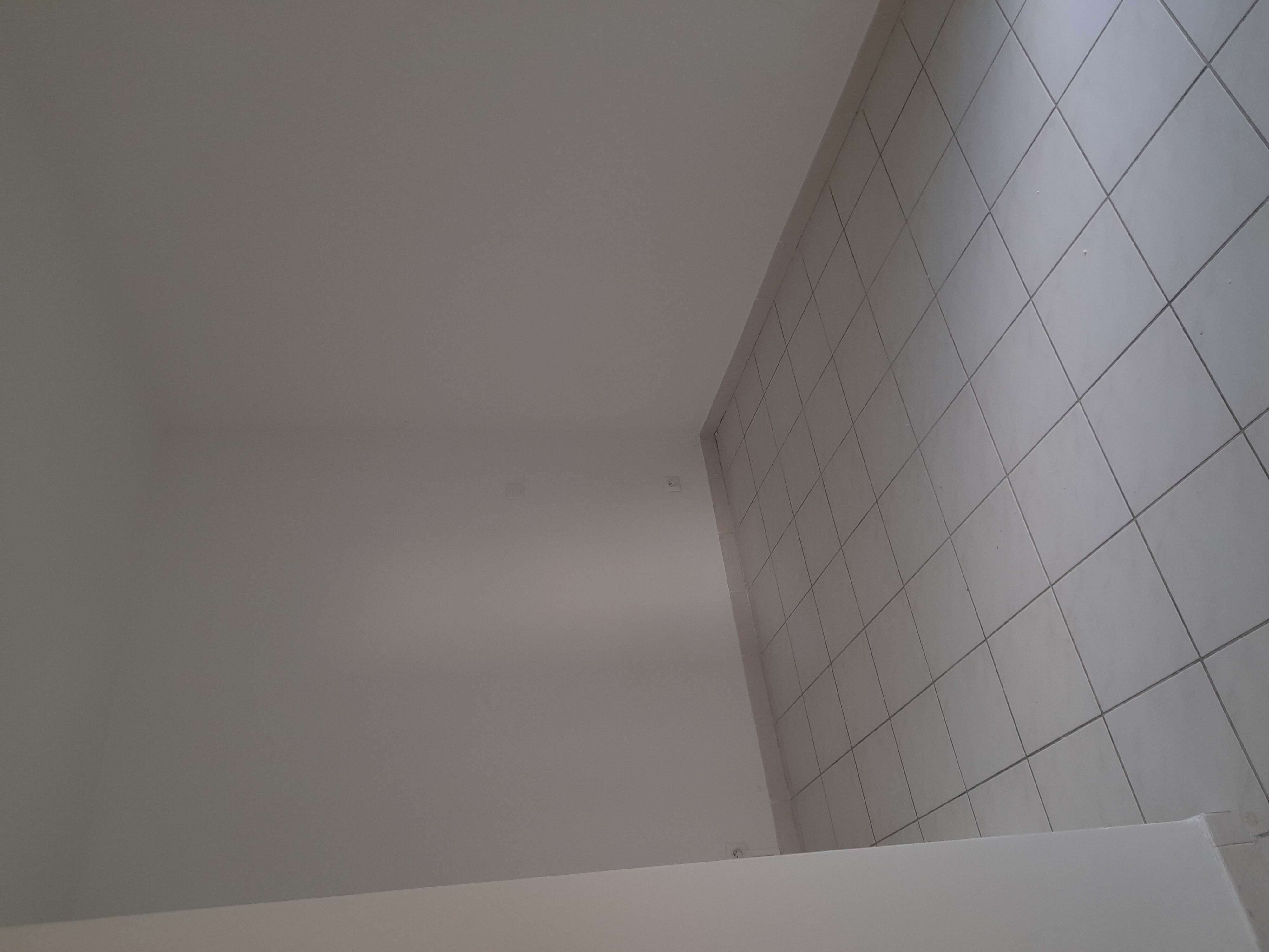 20230330_164511-compressed.jpg