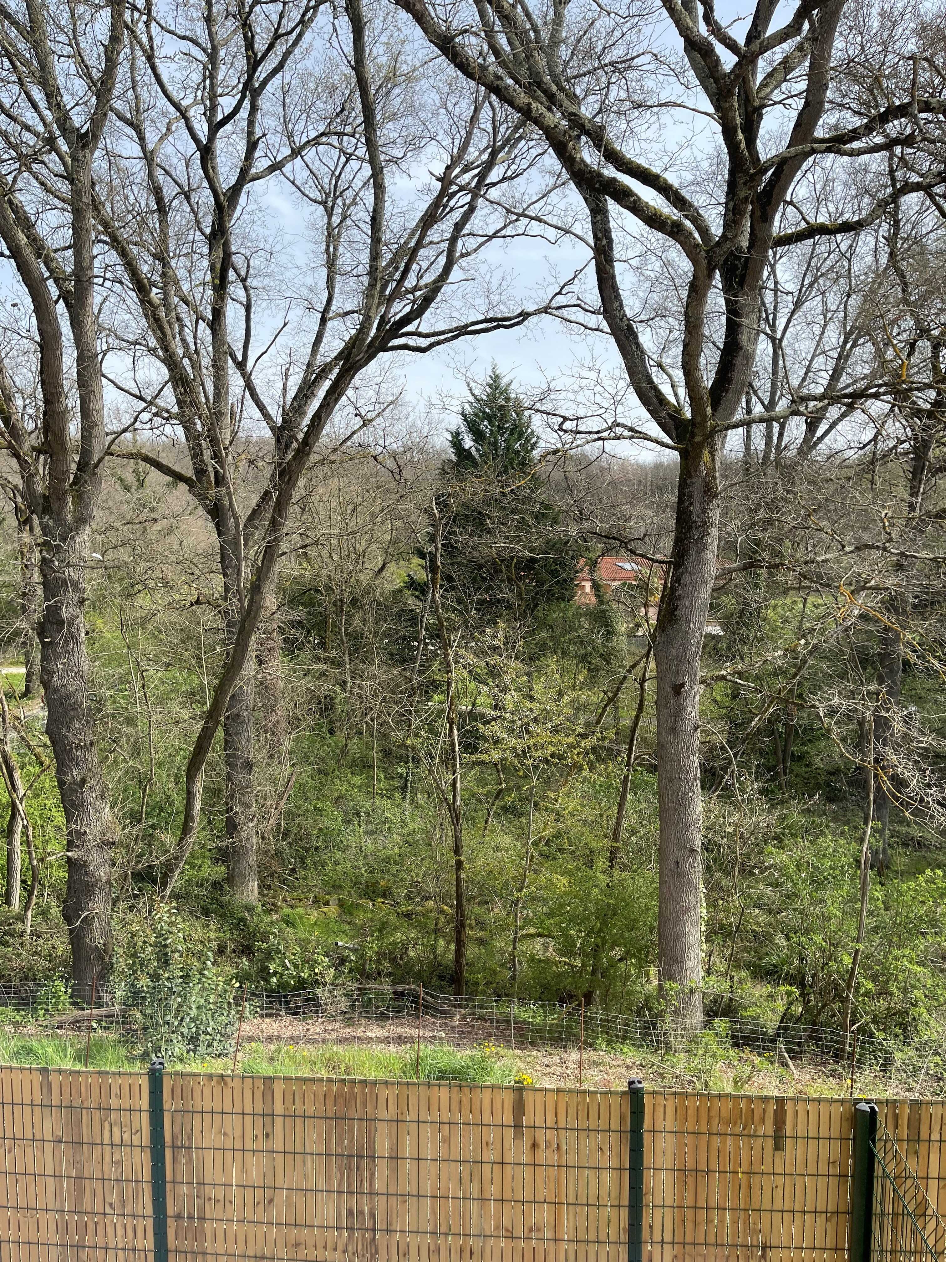 VUE DE L ETAGE LE RIOU.jpg