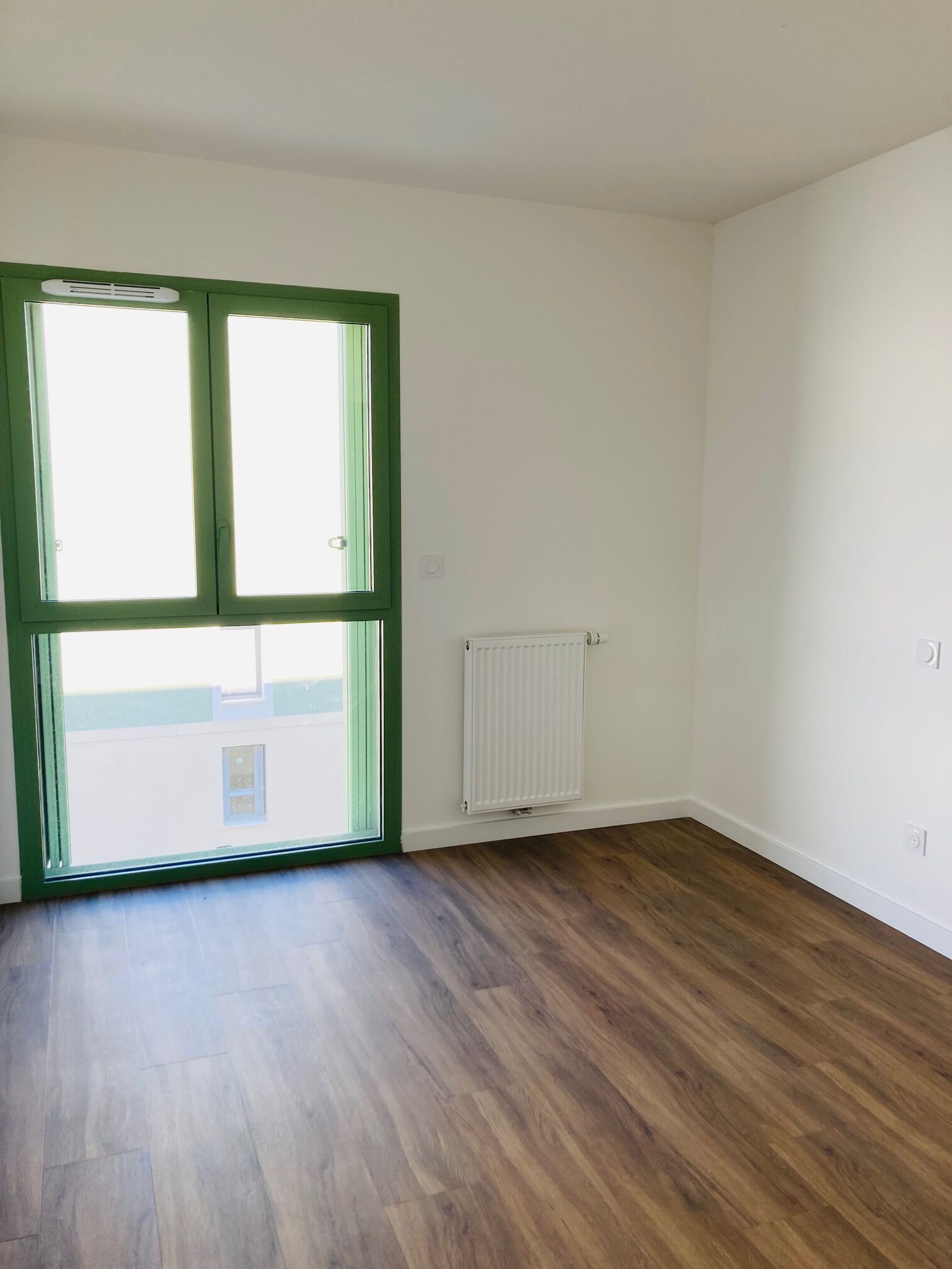 compressed-IMG_2004 CHB1.jpg